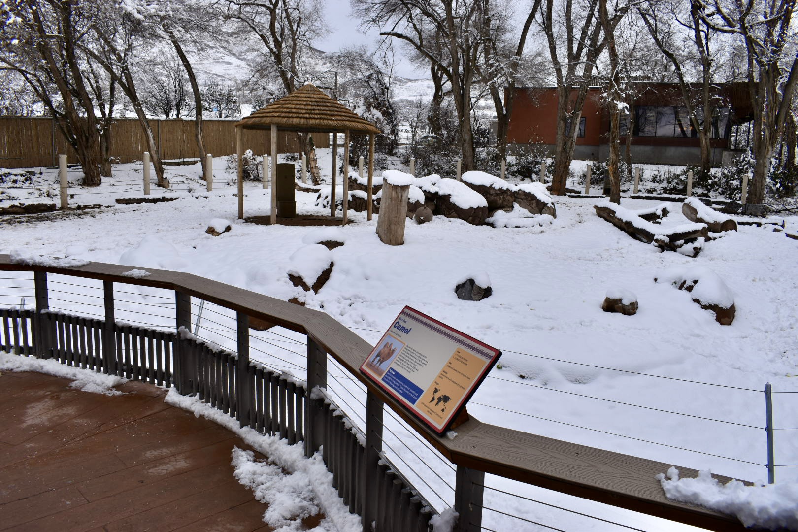 East Yard - High Desert Oasis