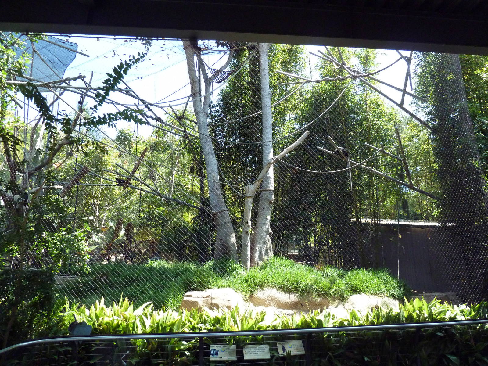 Eastern Angolan Colobus/Black Mangabey Exhibit