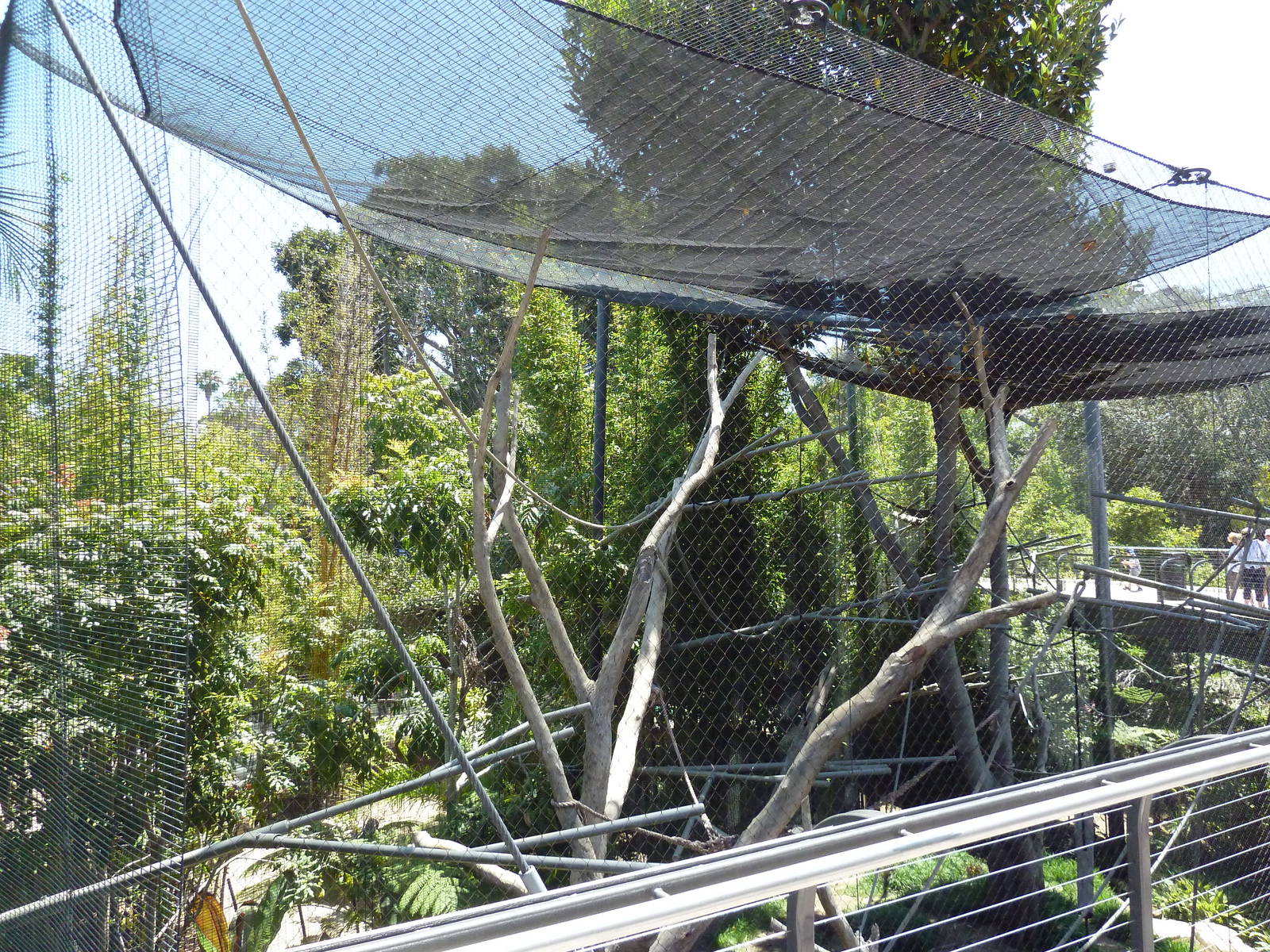 Eastern Angolan Colobus/Black Mangabey Exhibit