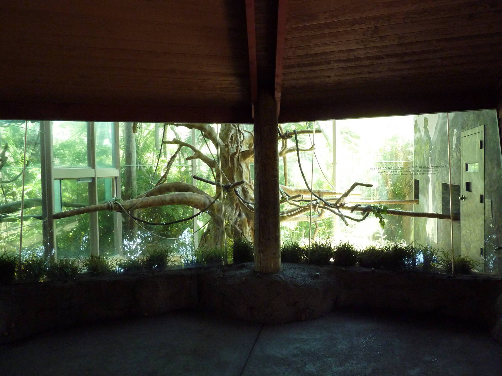 Eastern Angolan Colobus/Wolf's Guenon Exhibit