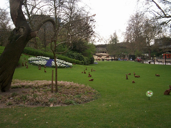 Eastern at Antwerp Zoo