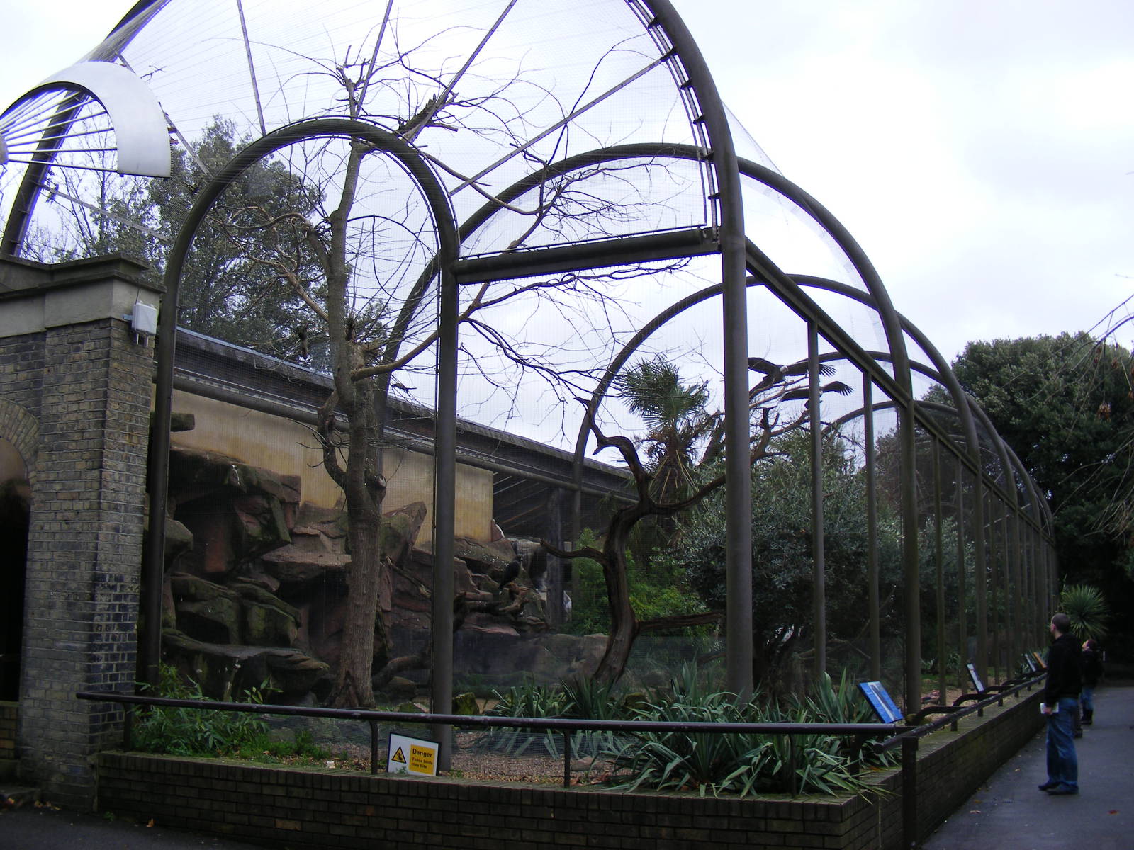 Eastern Aviary at London Zoo, 15 January 2011