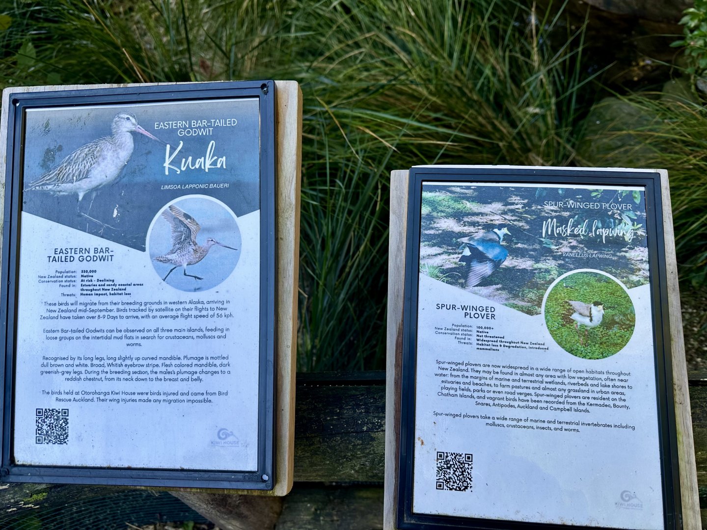 Eastern Bar-tailed Godwit/Spur-winged Plover Signage