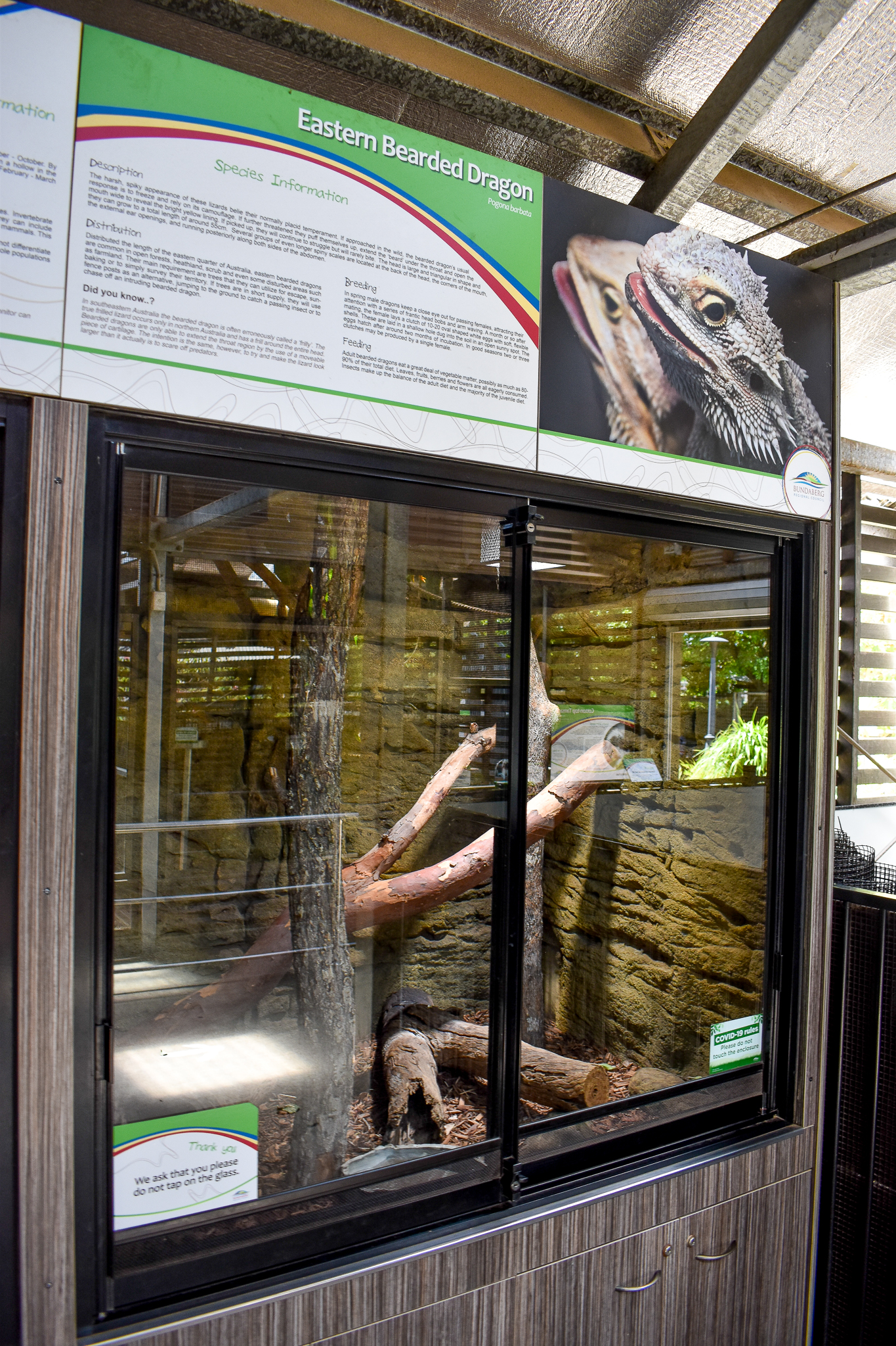 Eastern Bearded Dragon Enclosure