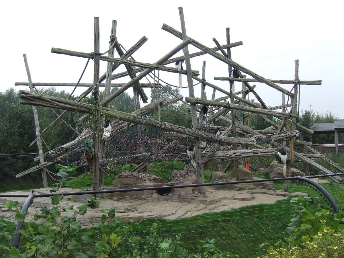 Eastern Black-and-White Colobus enclosure