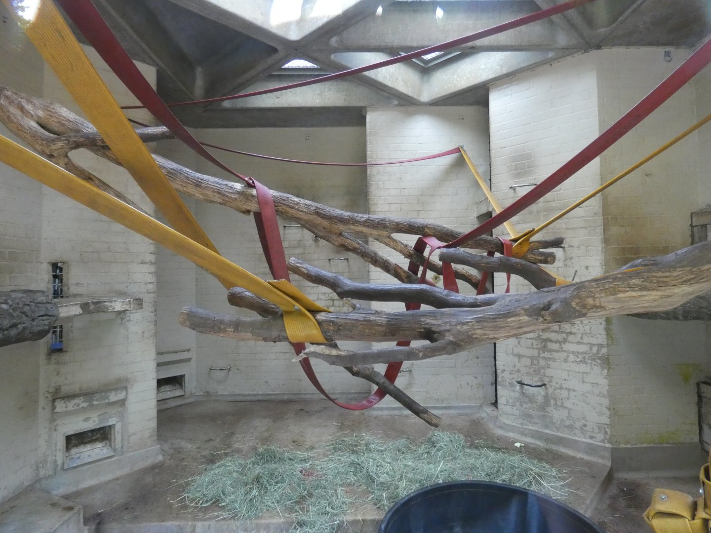 Eastern black-and-white colobus indoor enclosure (2)