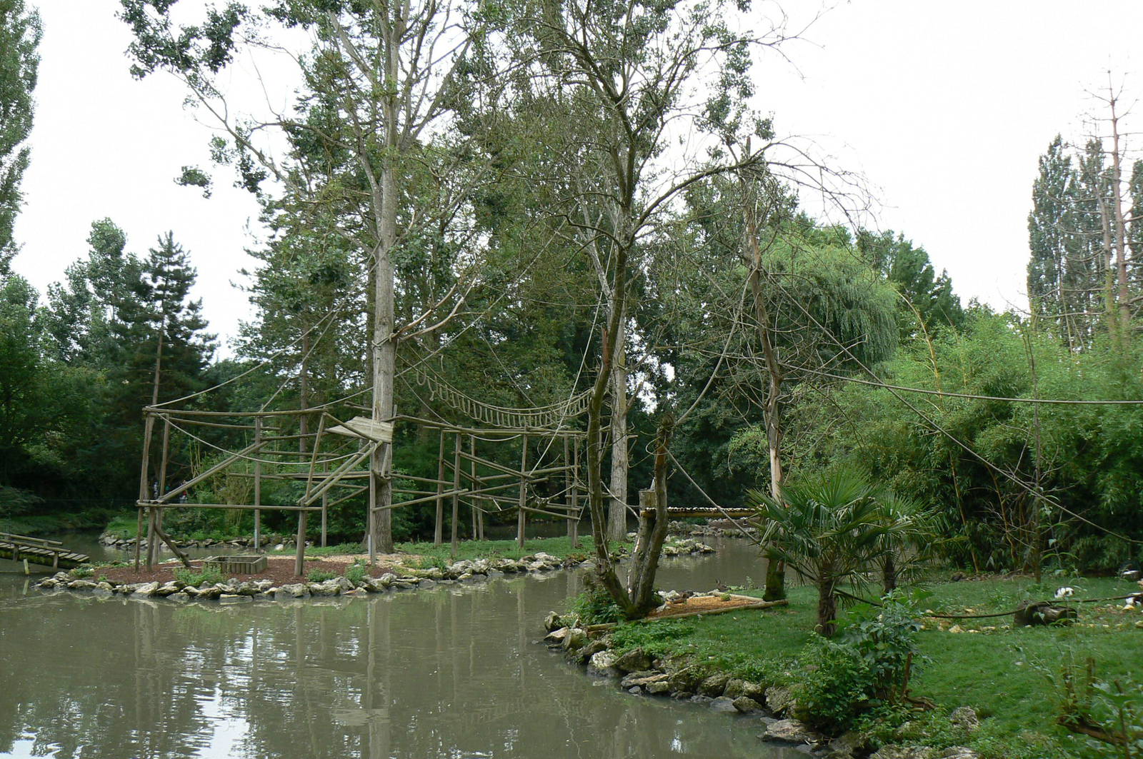 Eastern black and white colobus monkeys island
