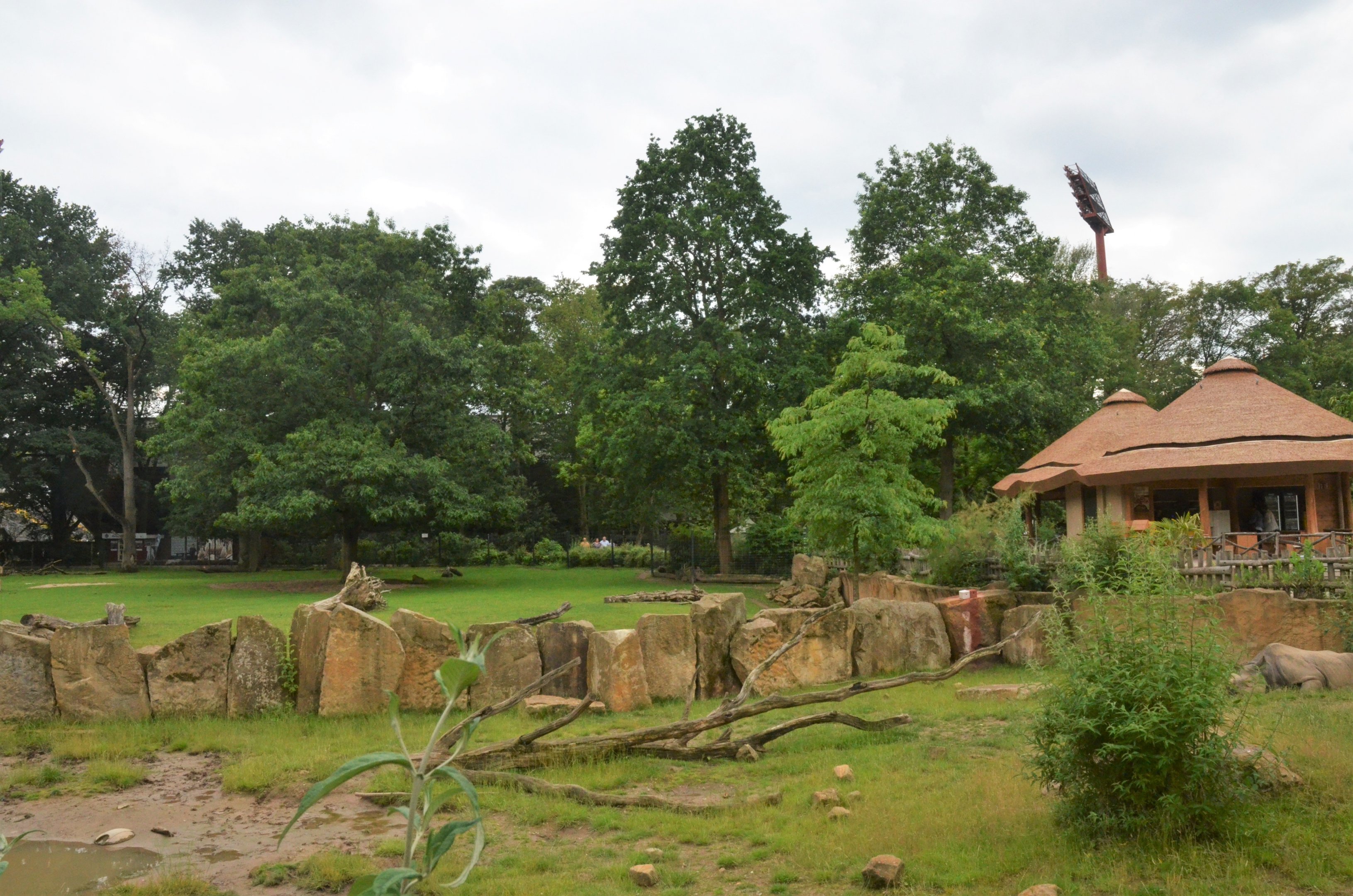 Eastern Black Rhino and Savannah Enclosures at Krefeld, 15/06/19