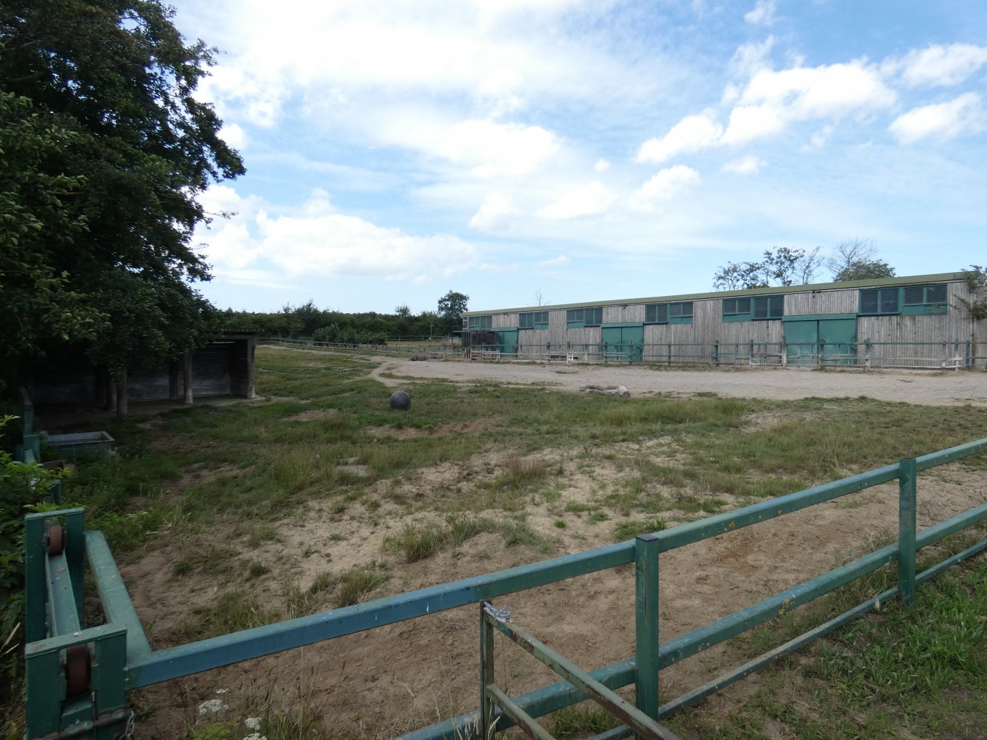 Eastern Black Rhino bull enclosure