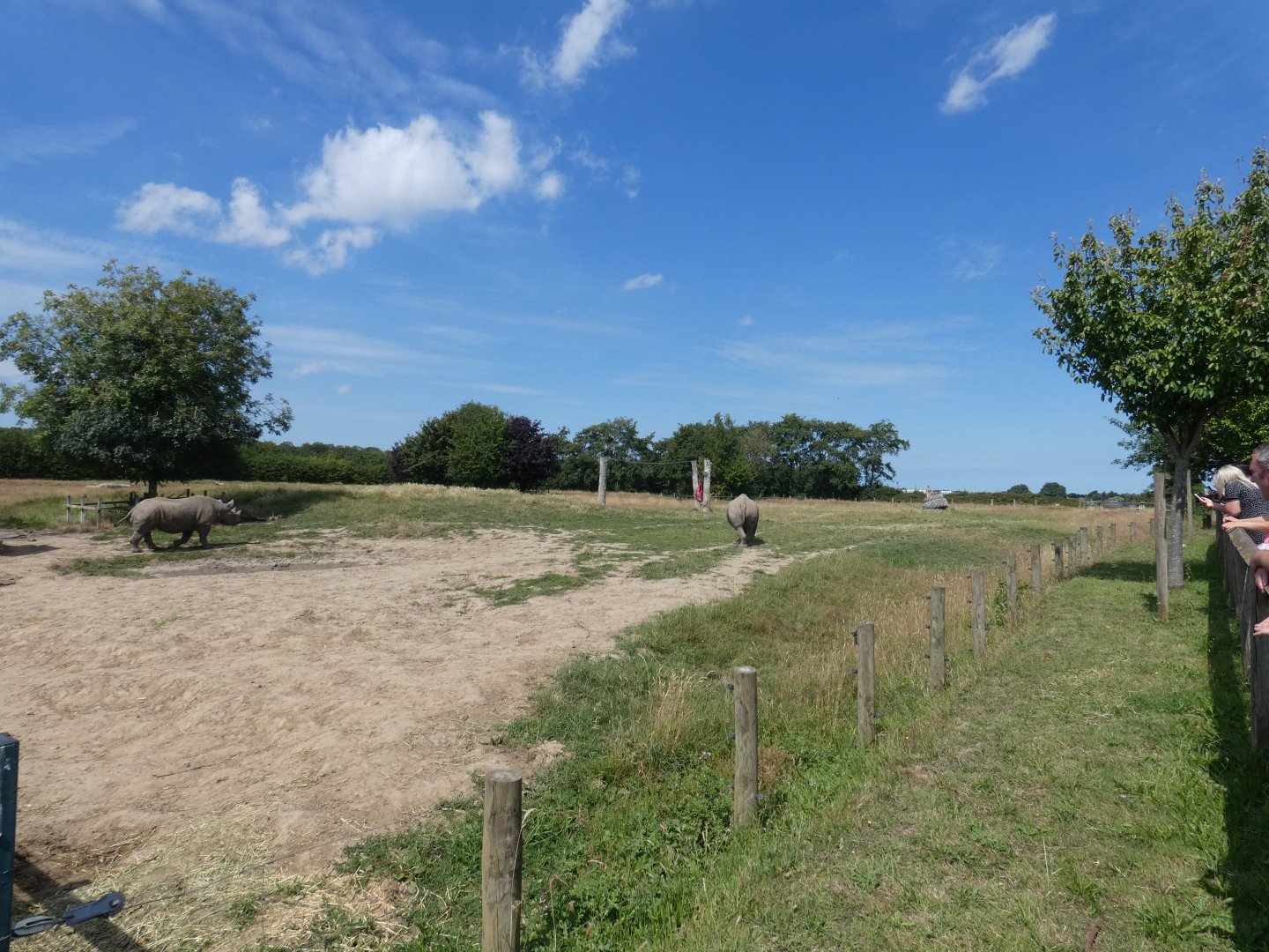Eastern Black Rhino enclosure (2)