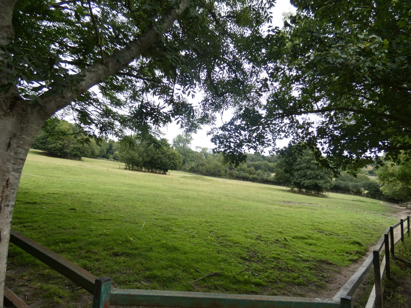 Eastern Black Rhino enclosure (2)