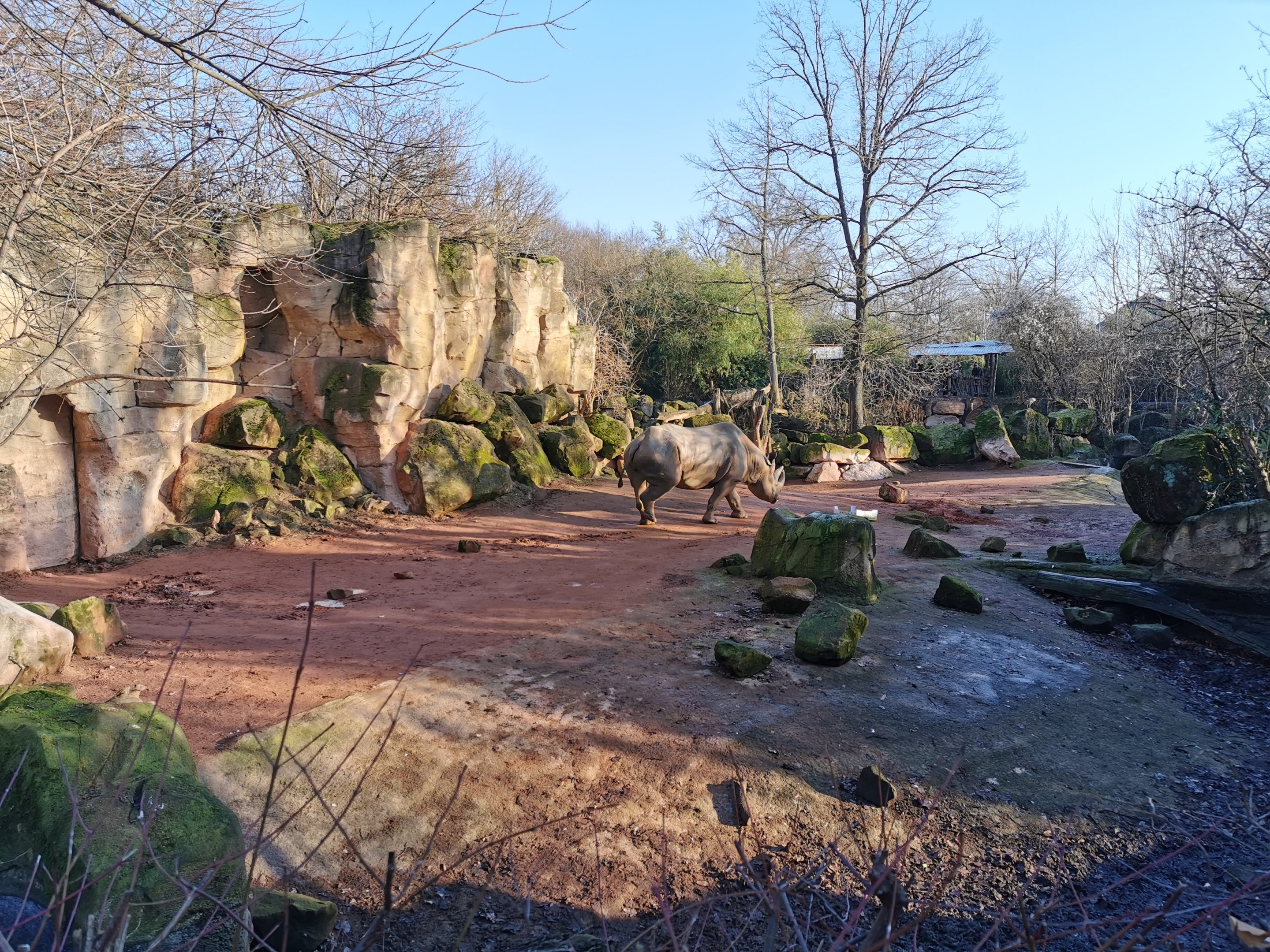 Eastern black rhino enclosure - "Afrika Sambesi"