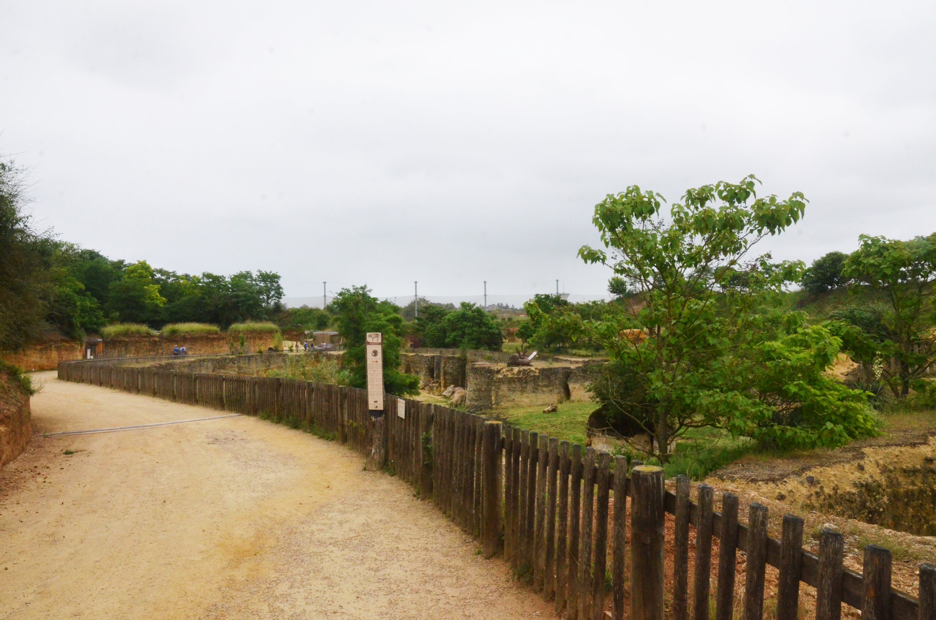 Eastern Black Rhino Enclosure at Doué-la-Fontaine, 15/06/18
