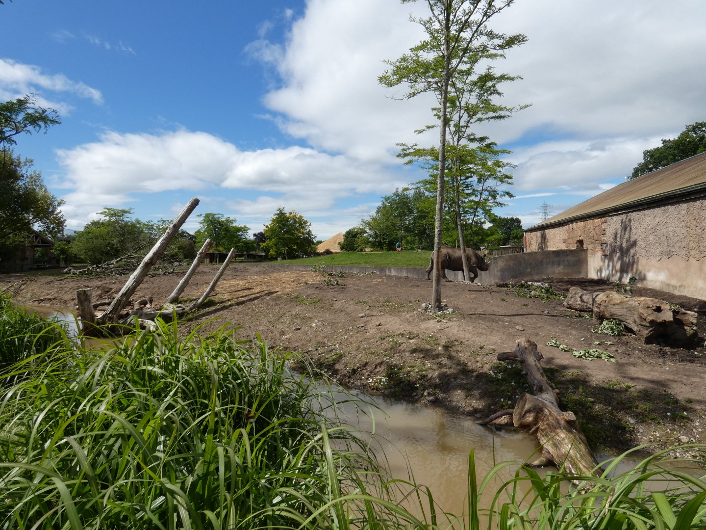 Eastern Black Rhino enclosure