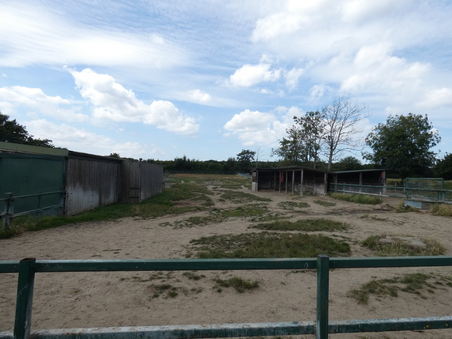 Eastern Black Rhino enclosure