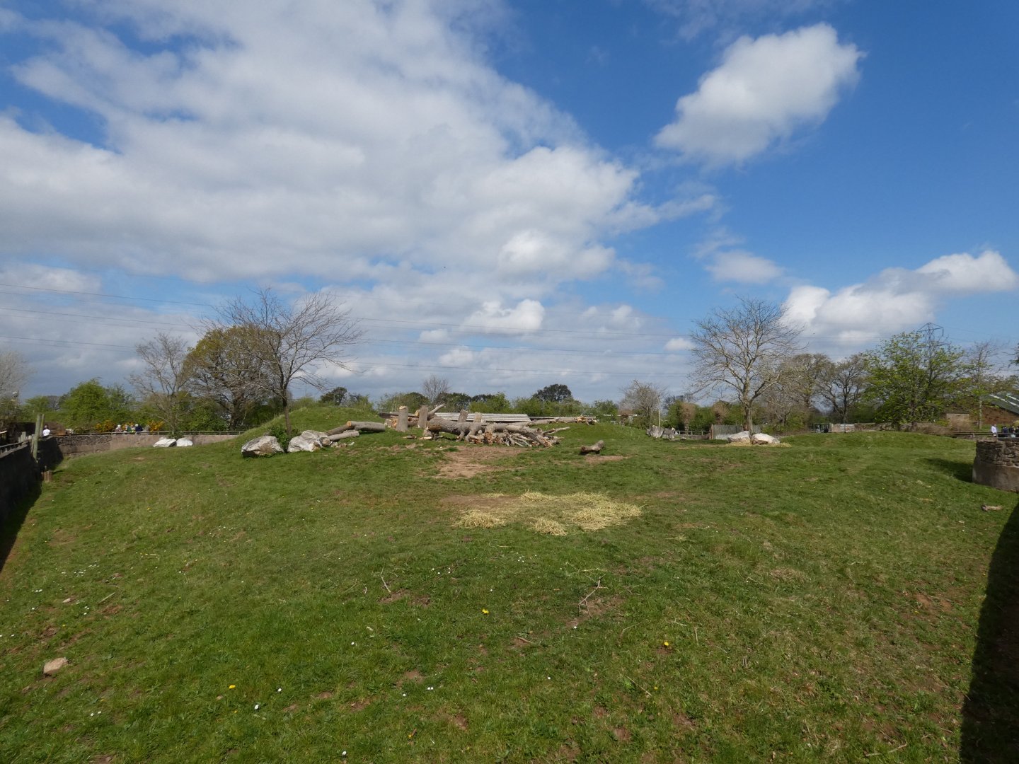 Eastern black rhino enclosure