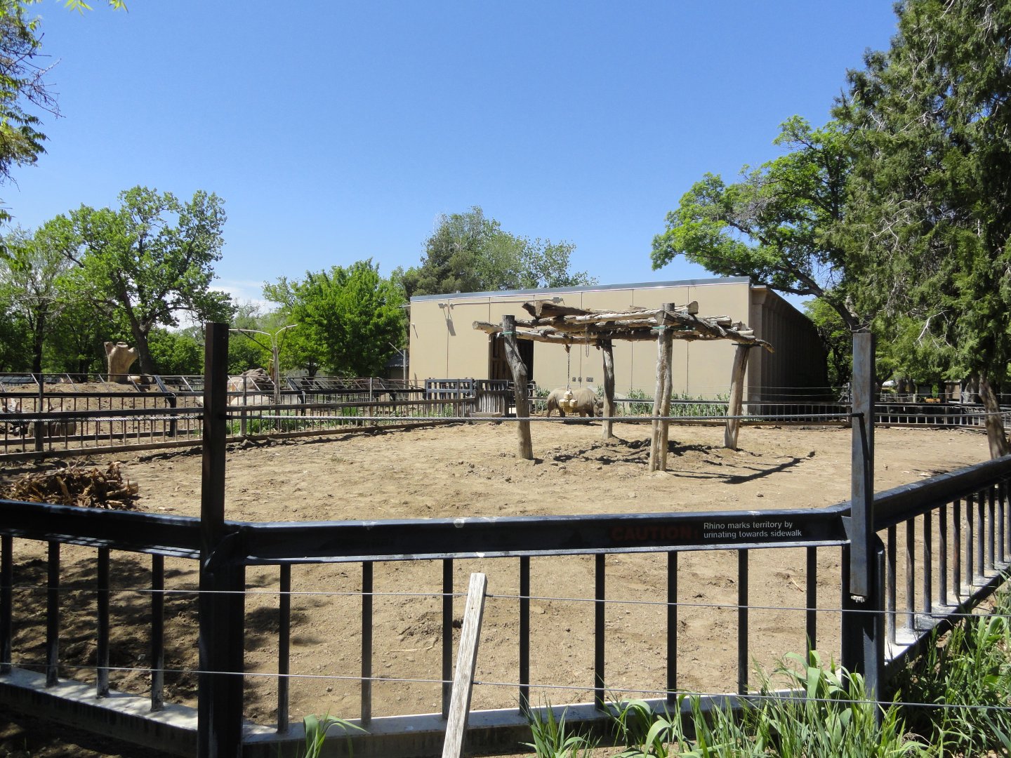 Eastern Black Rhino Exhibit 1