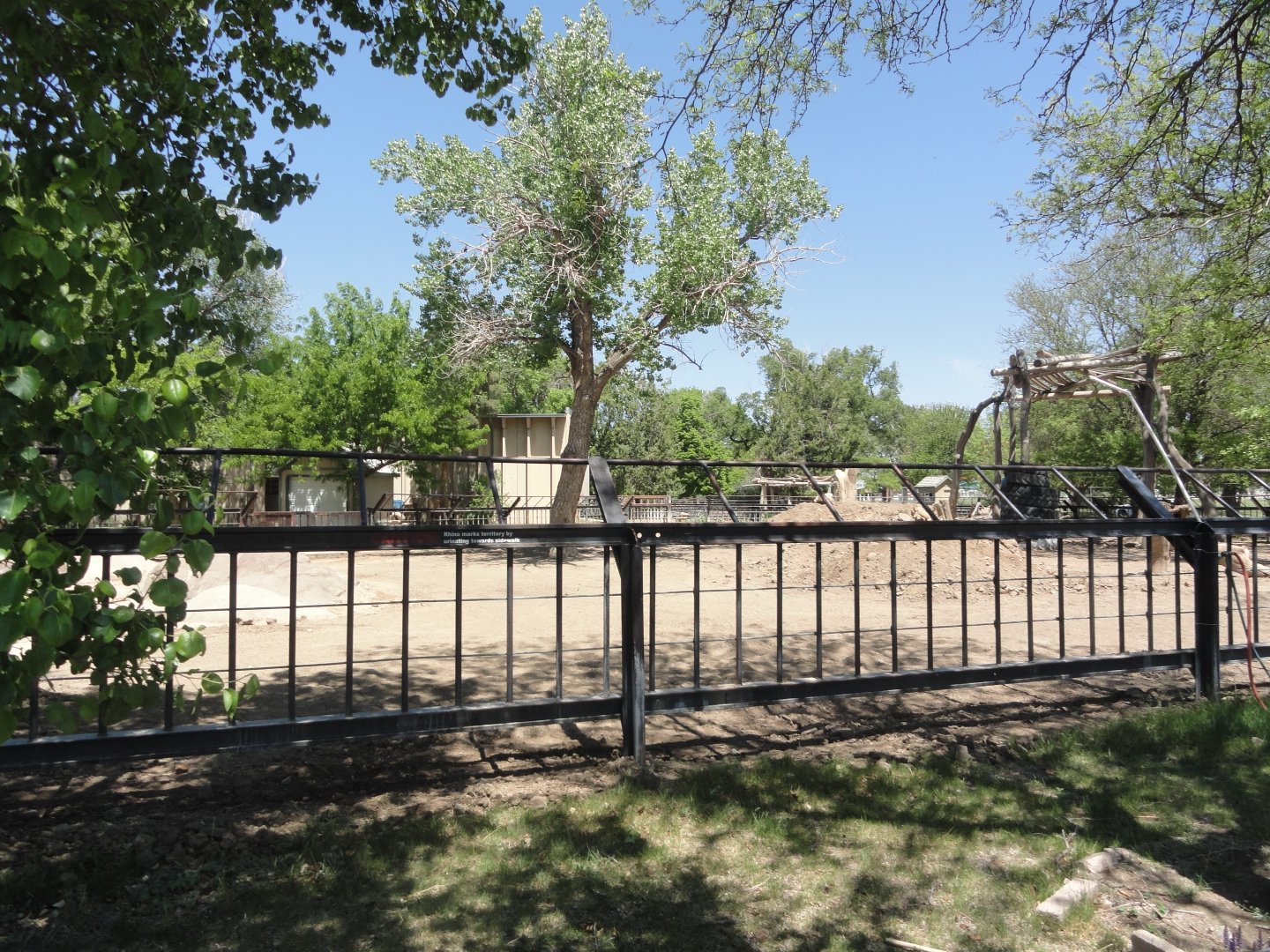 Eastern Black Rhino Exhibit 2