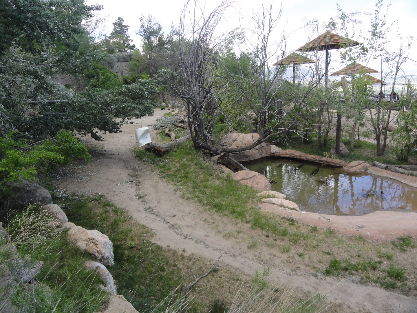 Eastern Black Rhino Exhibit