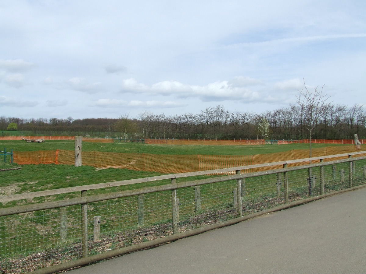 Eastern Black Rhino paddock III.