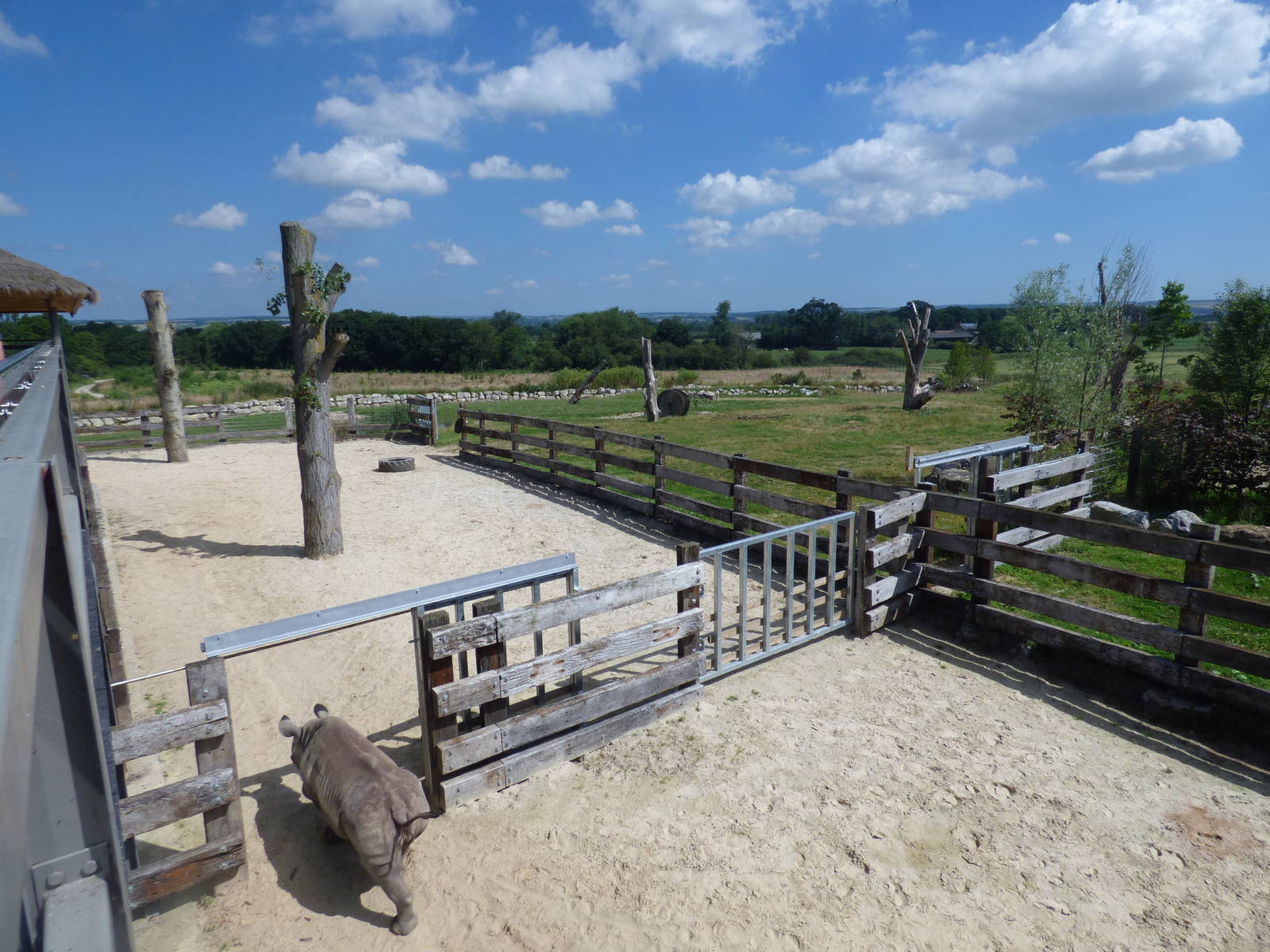 Eastern Black Rhino Paddock