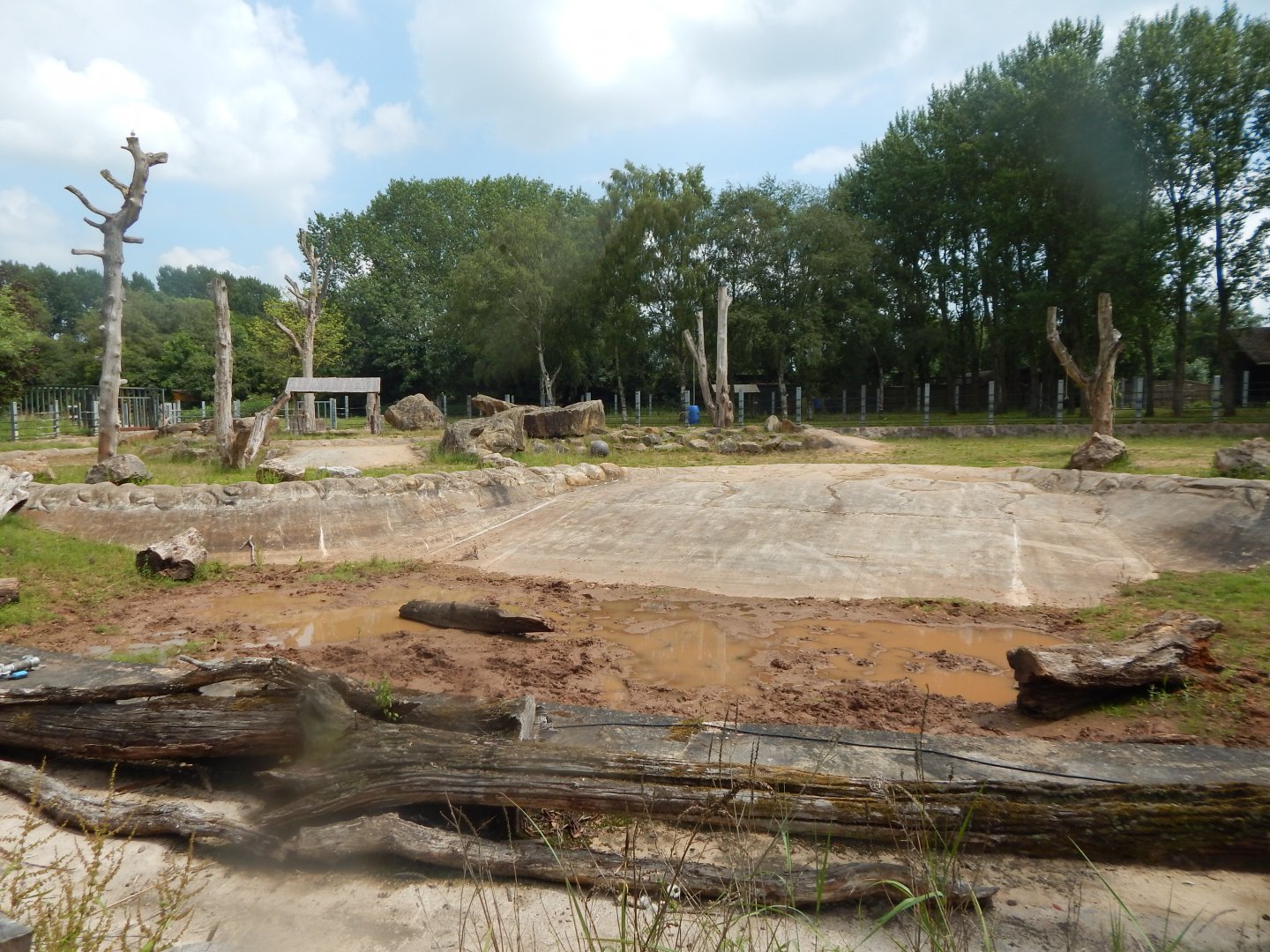 Eastern black rhinoceros enclosure 020721