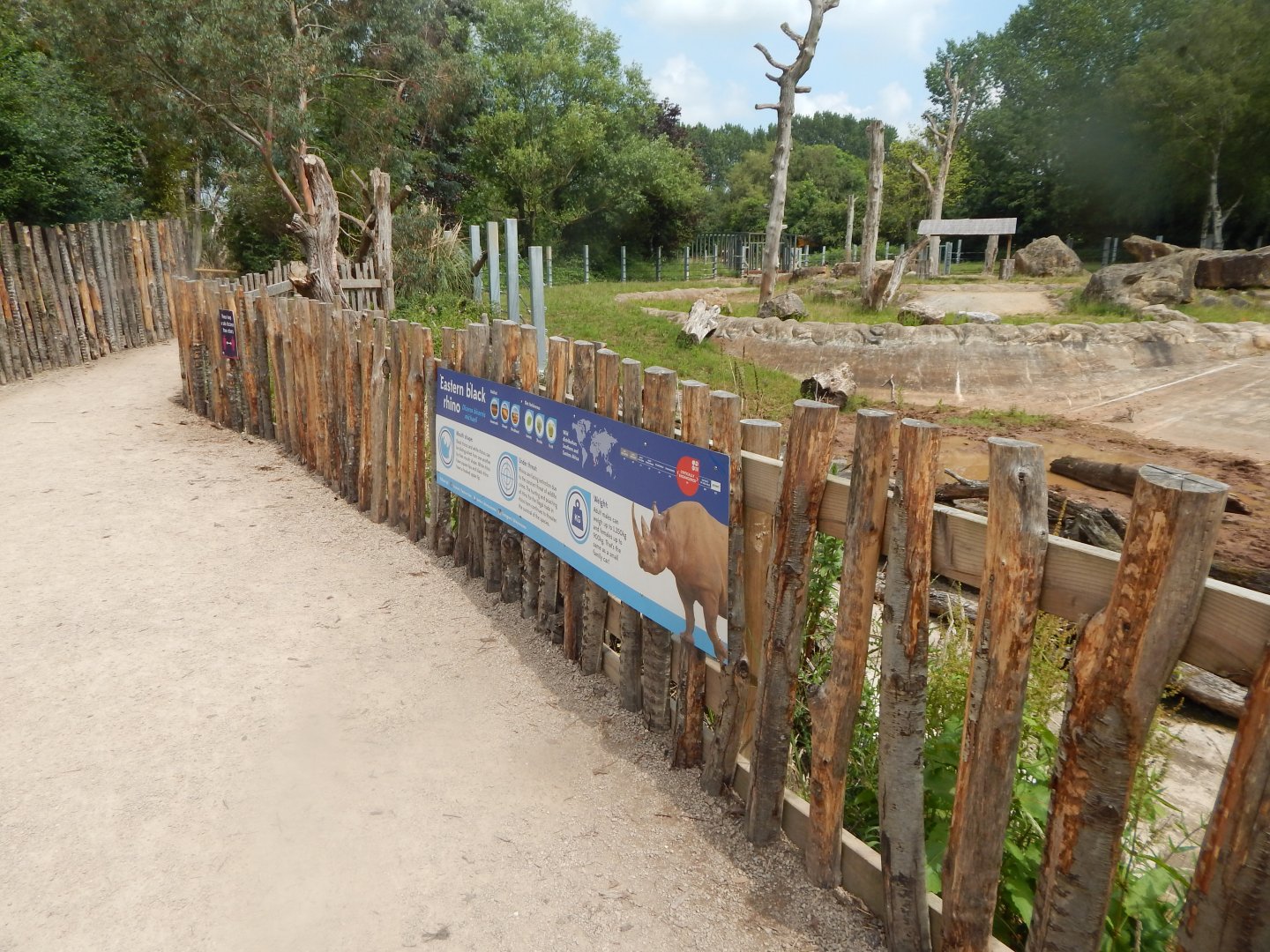 Eastern black rhinoceros enclosure 020721