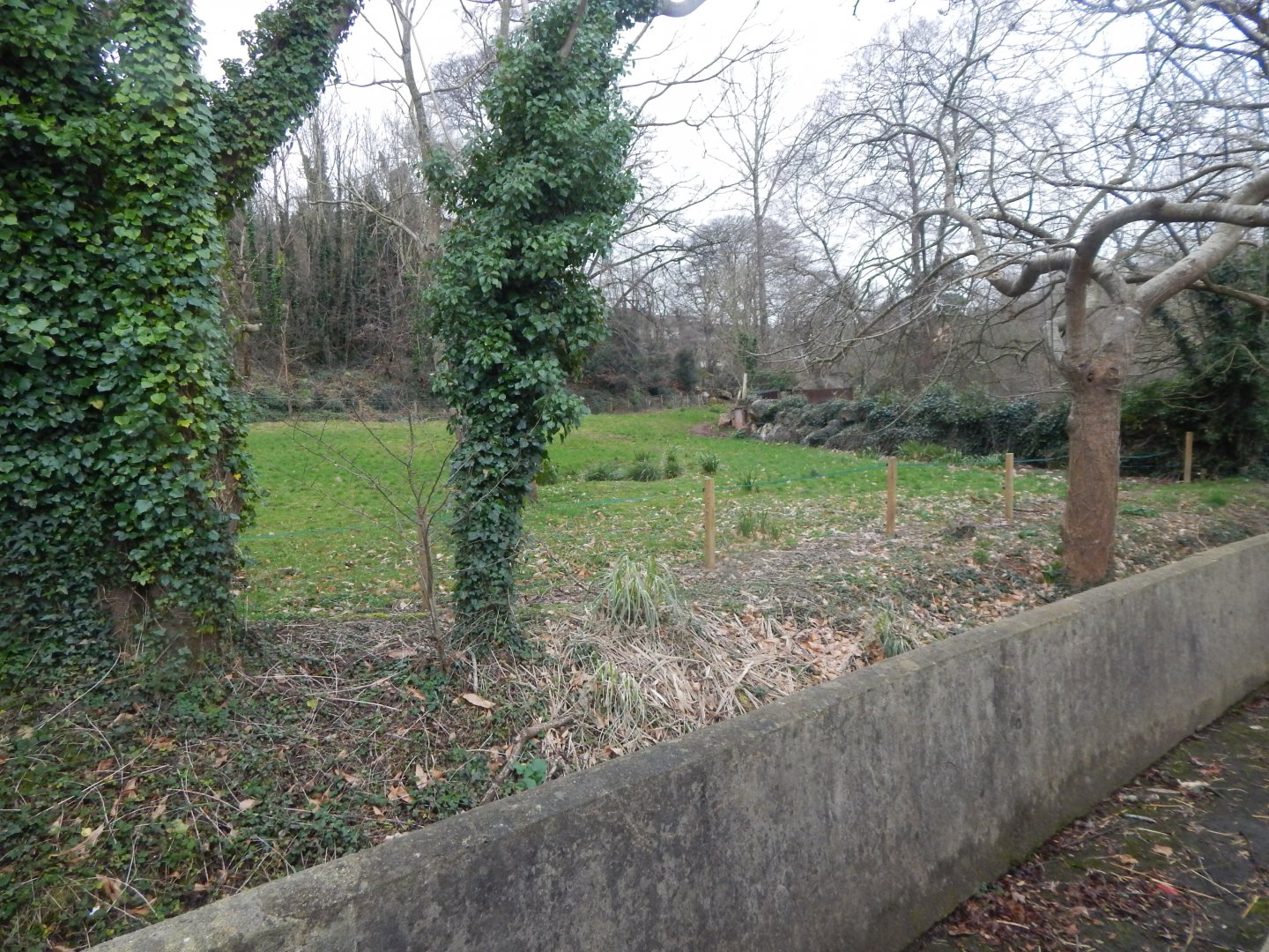 Eastern black rhinoceros enclosure 050224