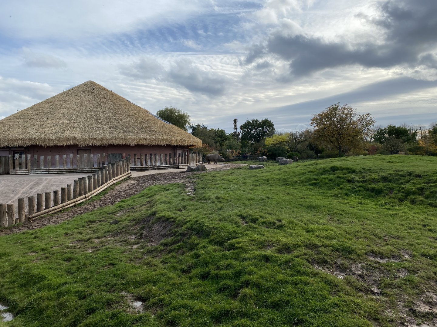 Eastern black rhinoceros enclosure 071020