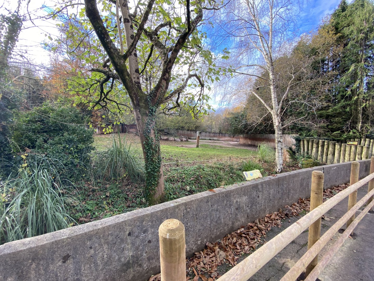 Eastern black rhinoceros enclosure 201121