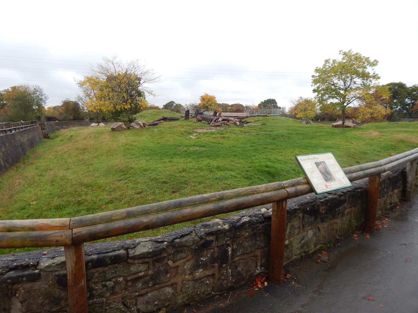 Eastern black rhinoceros enclosure 221022