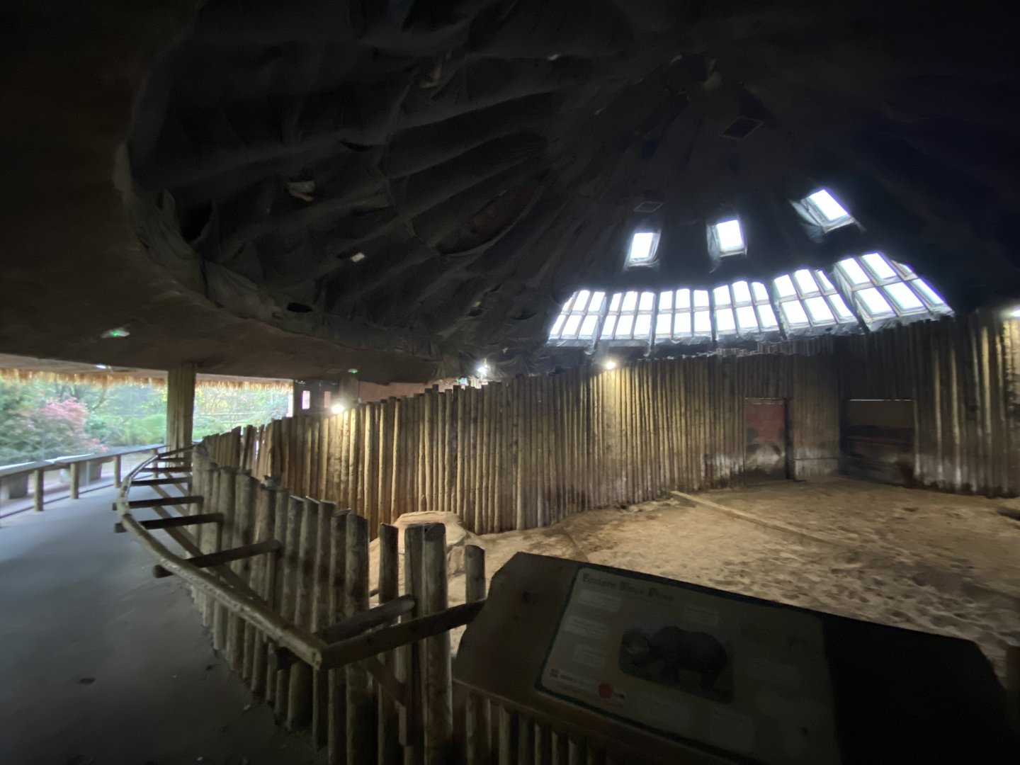 Eastern black rhinoceros enclosure 221022