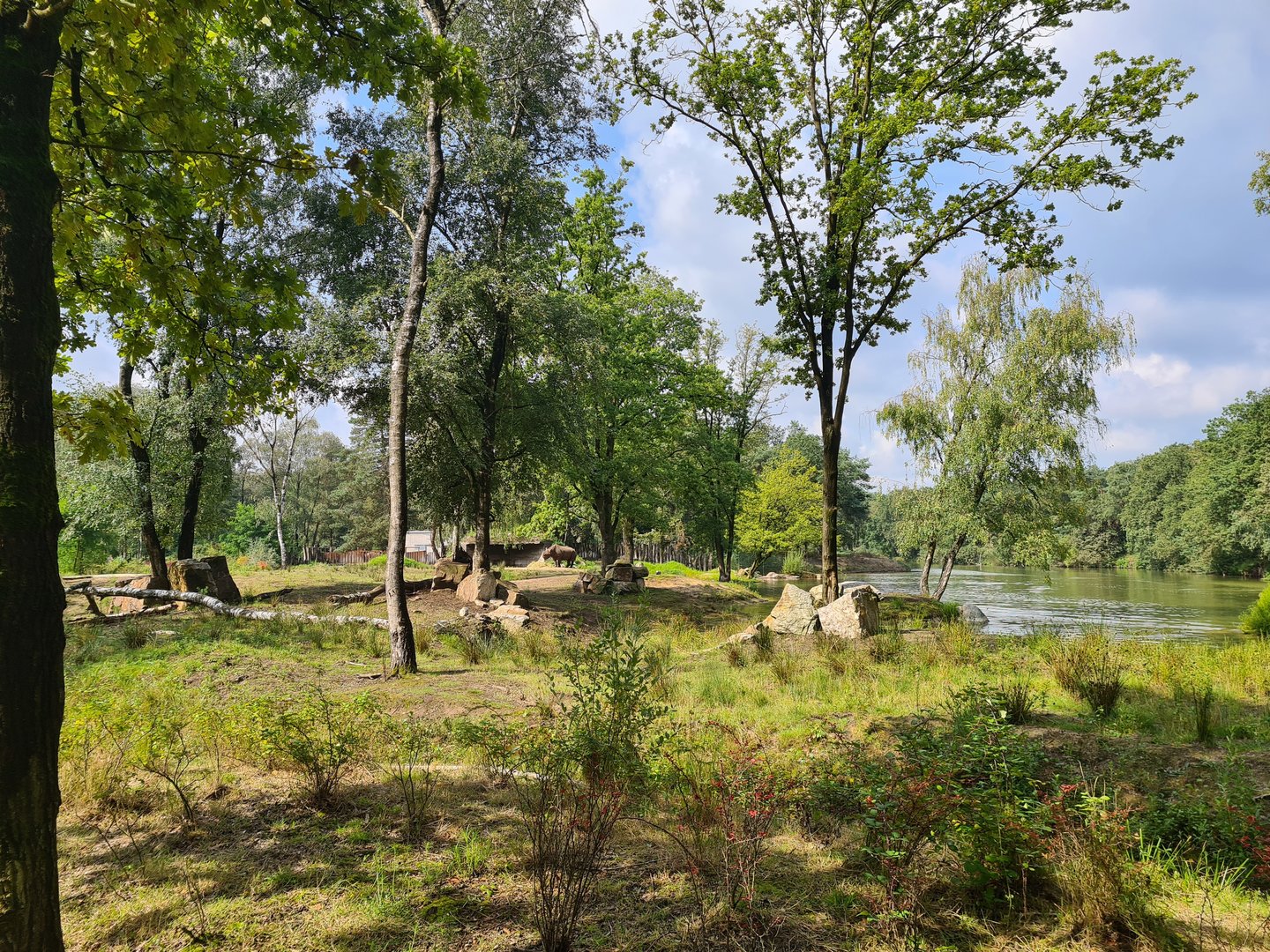 Eastern Black rhinoceros enclosure