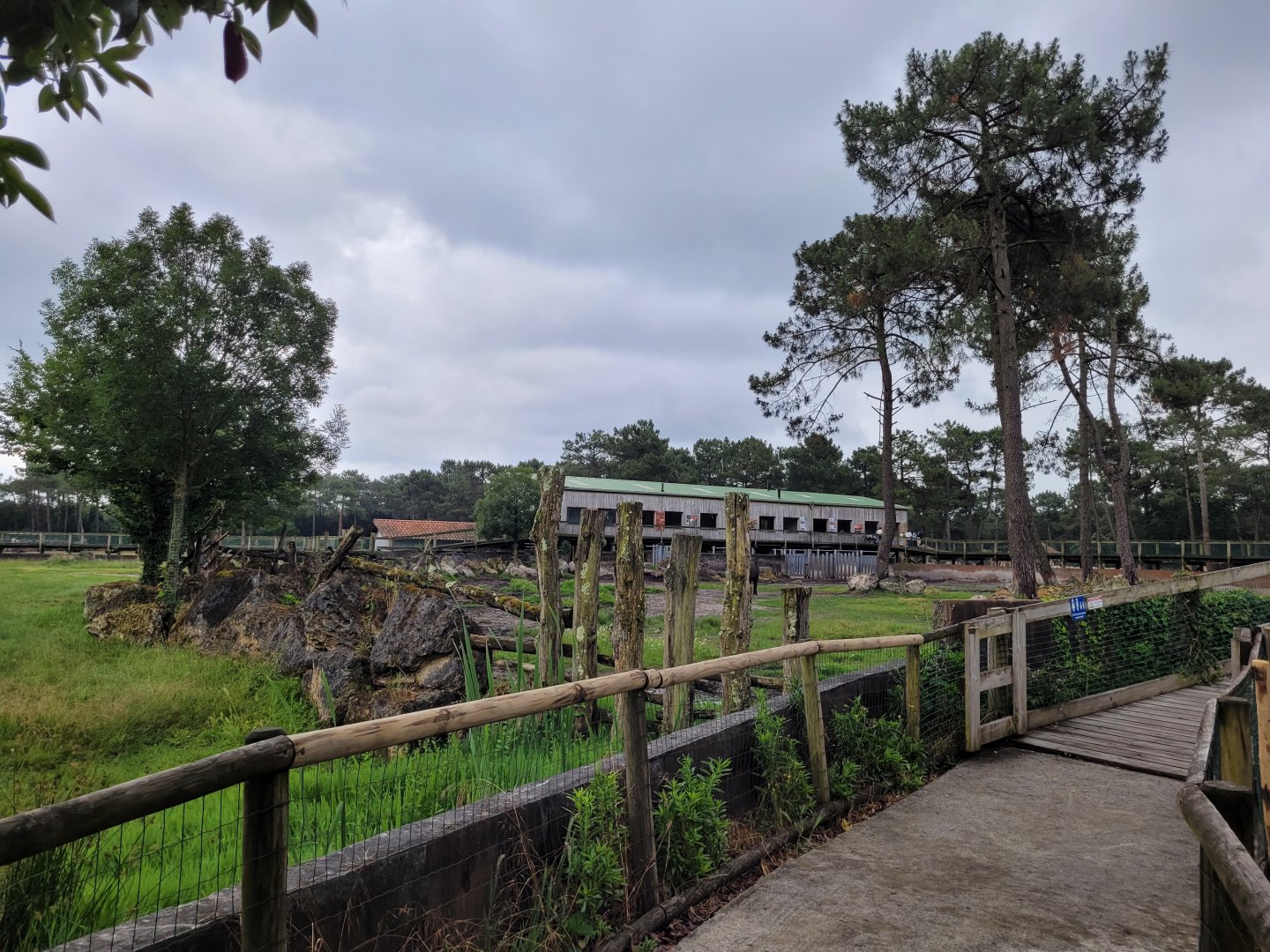Eastern black rhinoceros exhibit -Zoo du bassin d'Arcachon (2024)