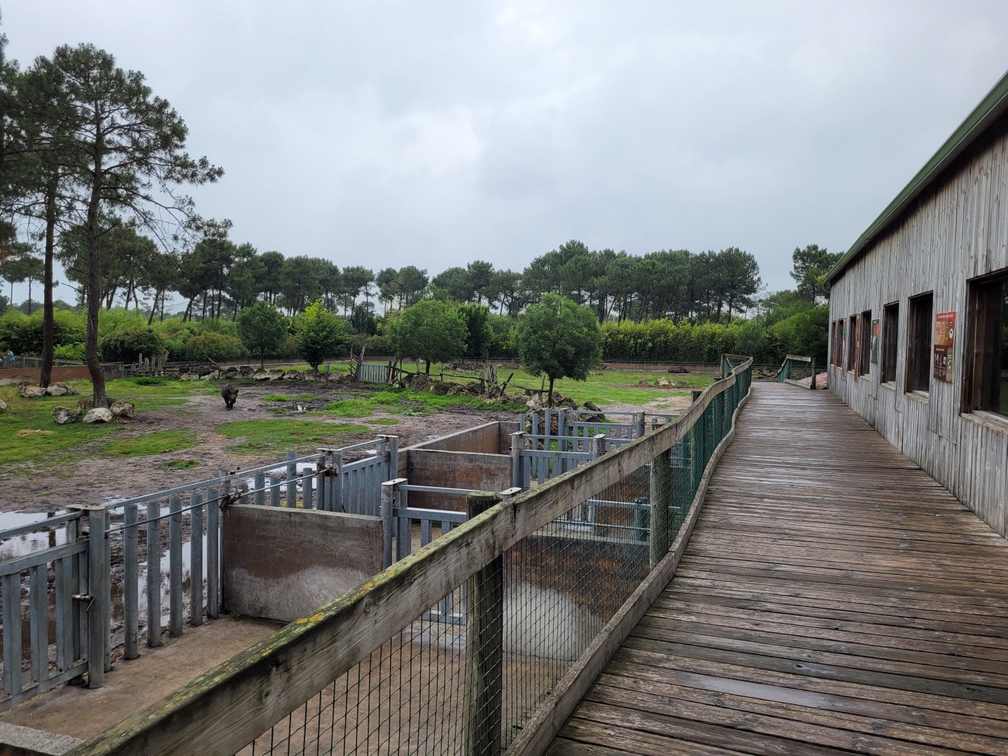 Eastern black rhinoceros exhibit -Zoo du bassin d'Arcachon (2024)