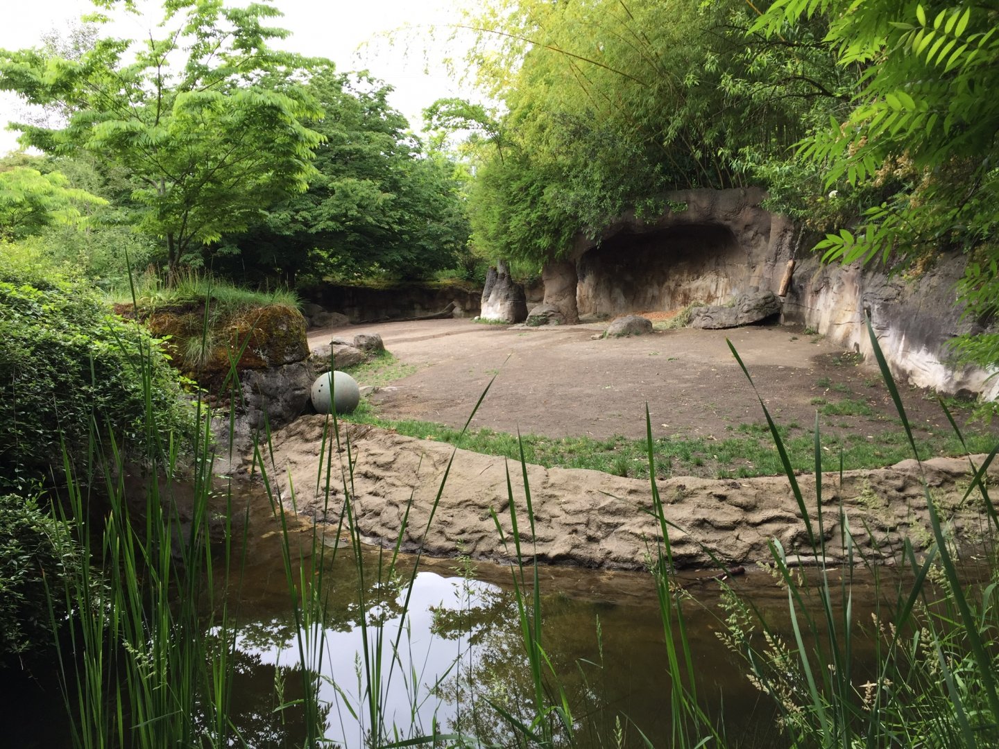 Eastern Black Rhinoceros Exhibit