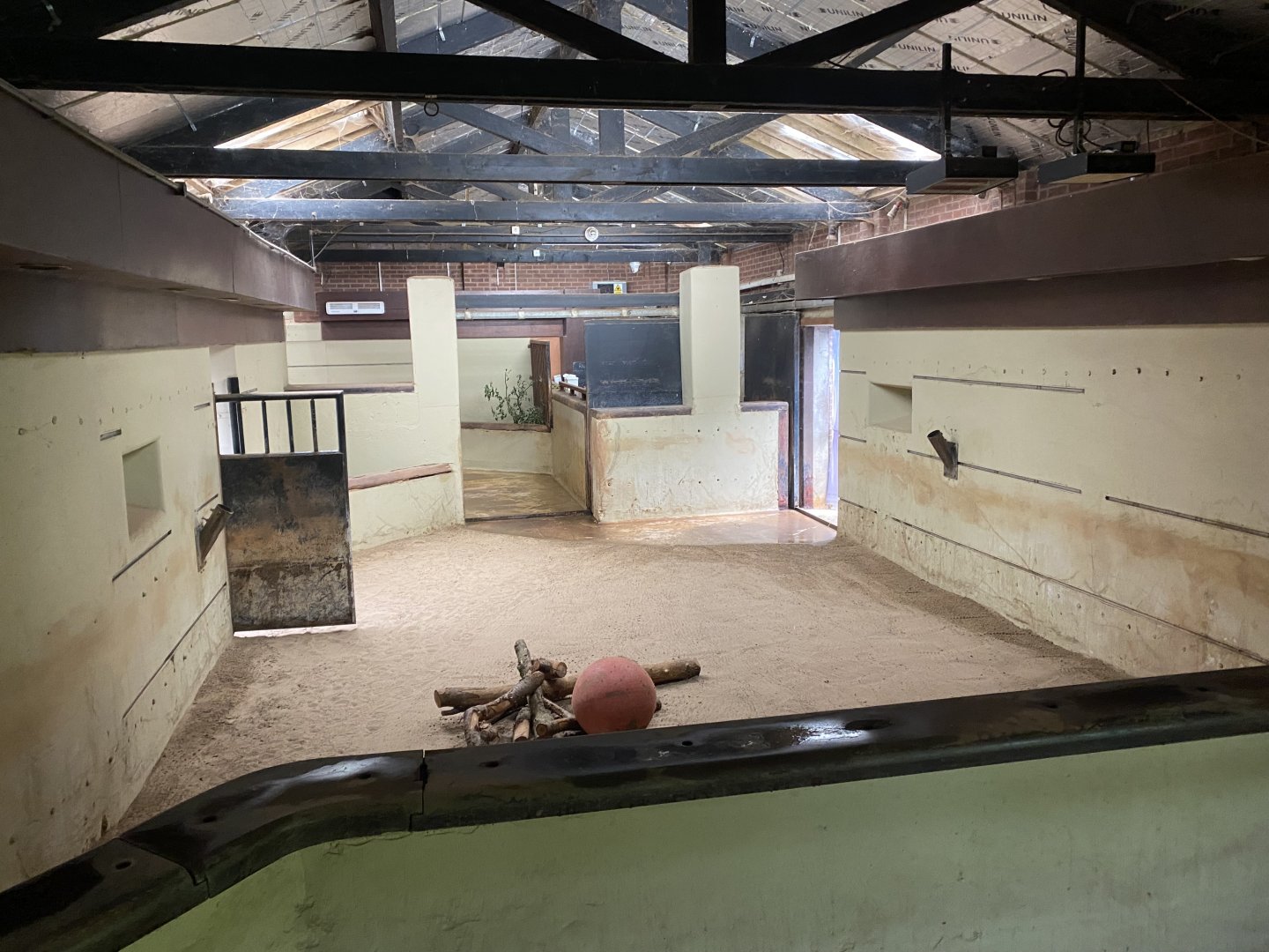 Eastern black rhinoceros indoors 130624