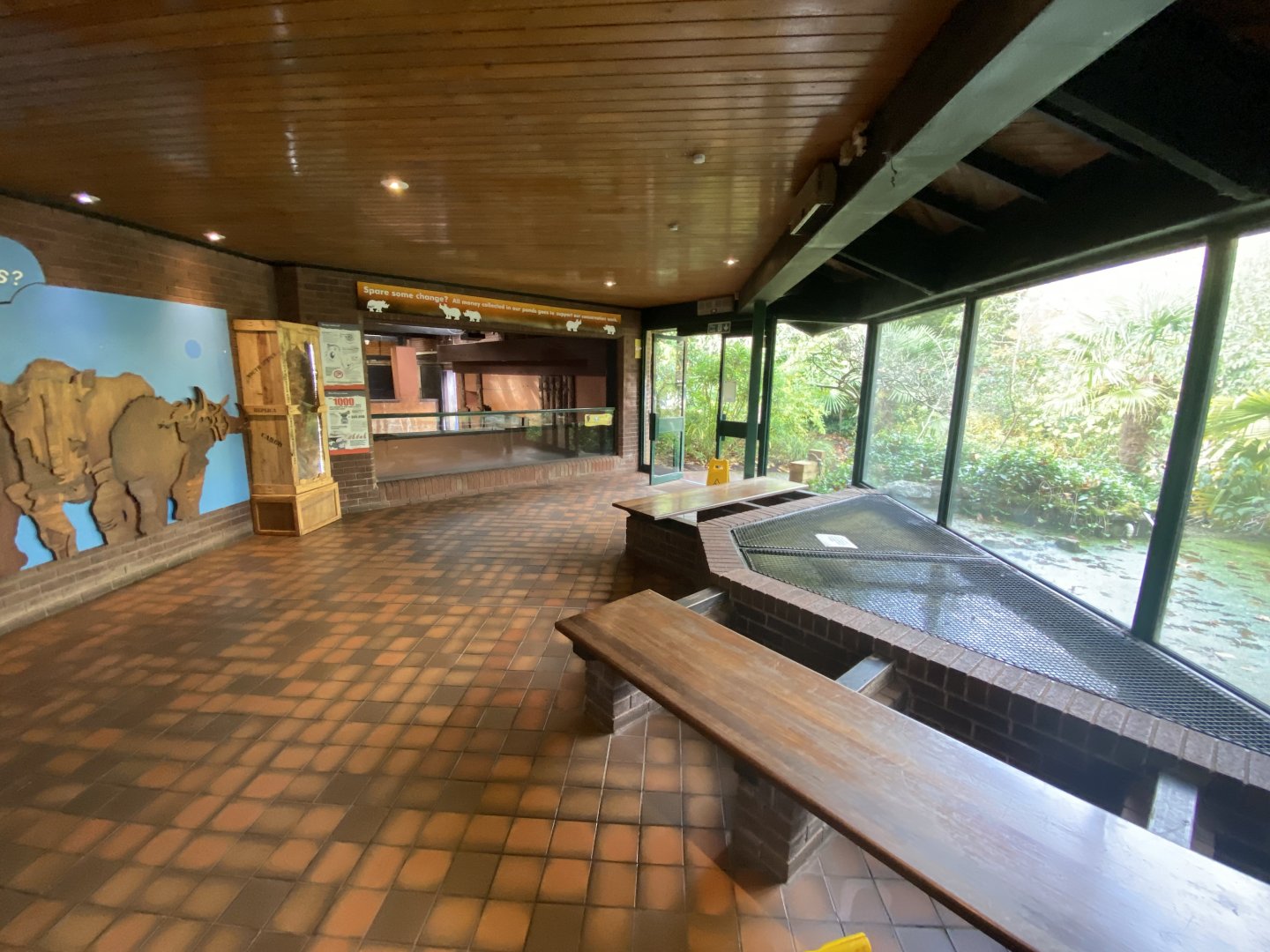 Eastern black rhinoceros indoors 201121