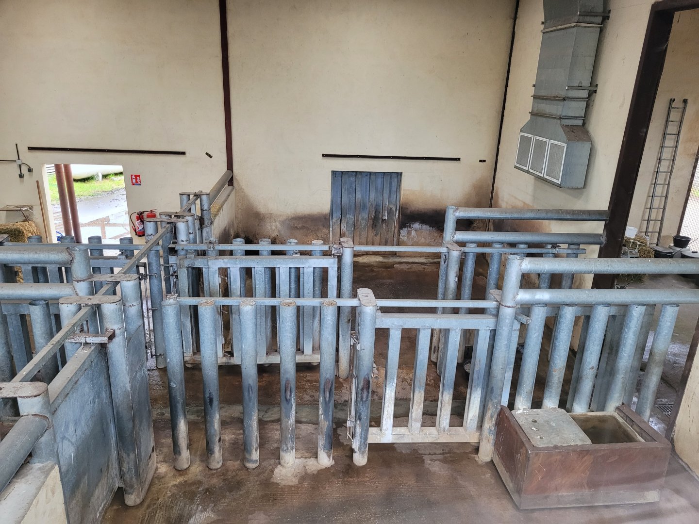 Eastern black rhinoceros indoors exhibit -Zoo du bassin d'Arcachon (2024)