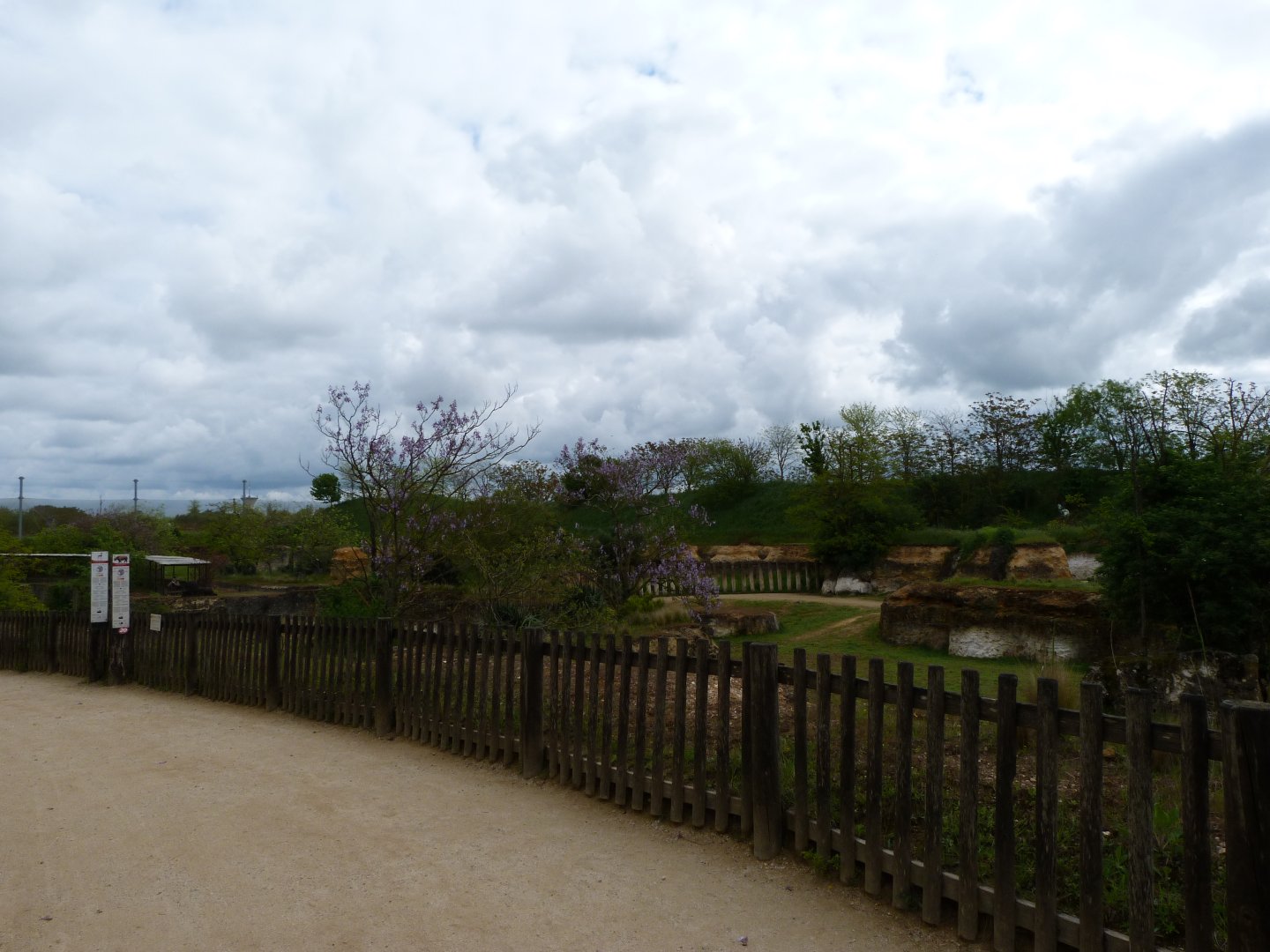 Eastern black rhinoceros, Mhorr gazelle and Helmeted guineafowl exhibit -Bioparc de Doué la Fontaine (2025)