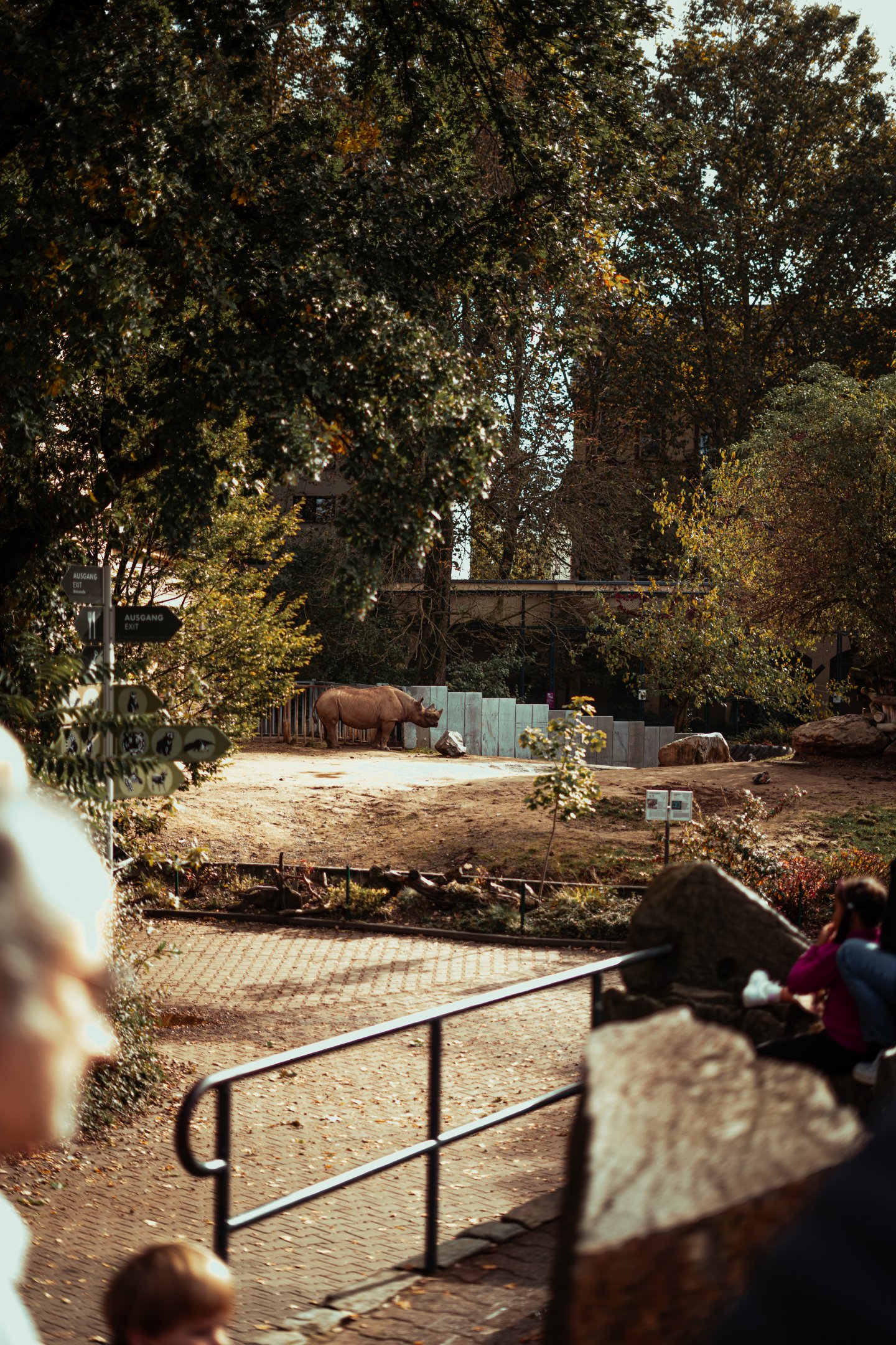 Eastern black rhinoceros outdoor enclosure