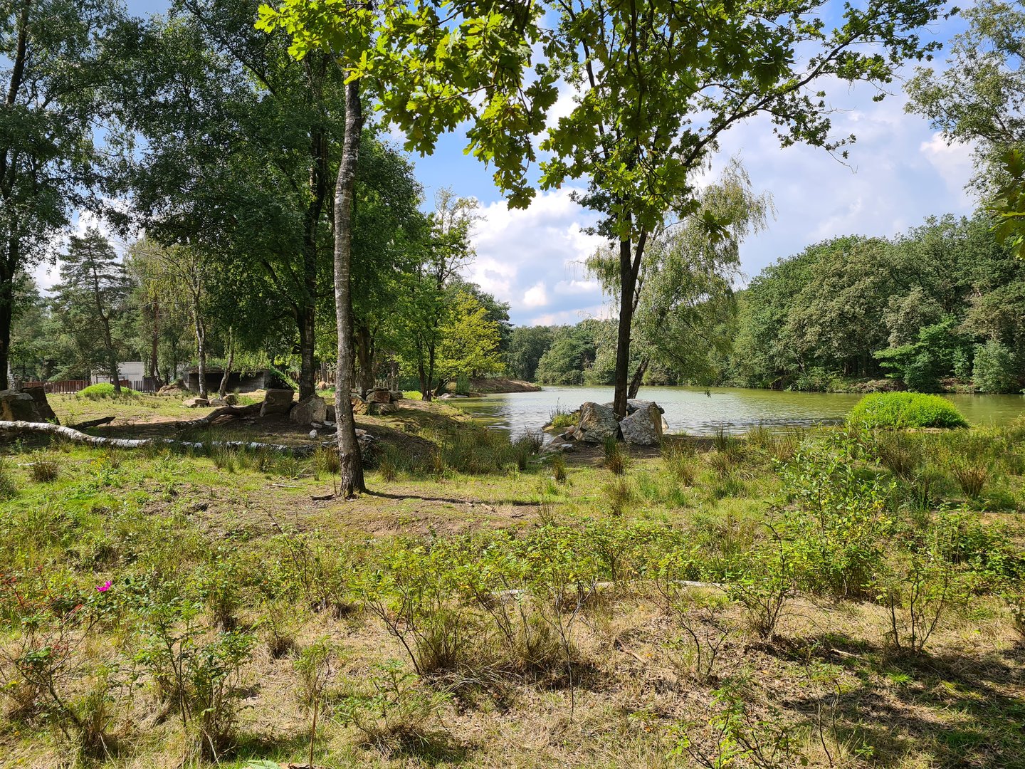 Eastern Black rhinoceros water area