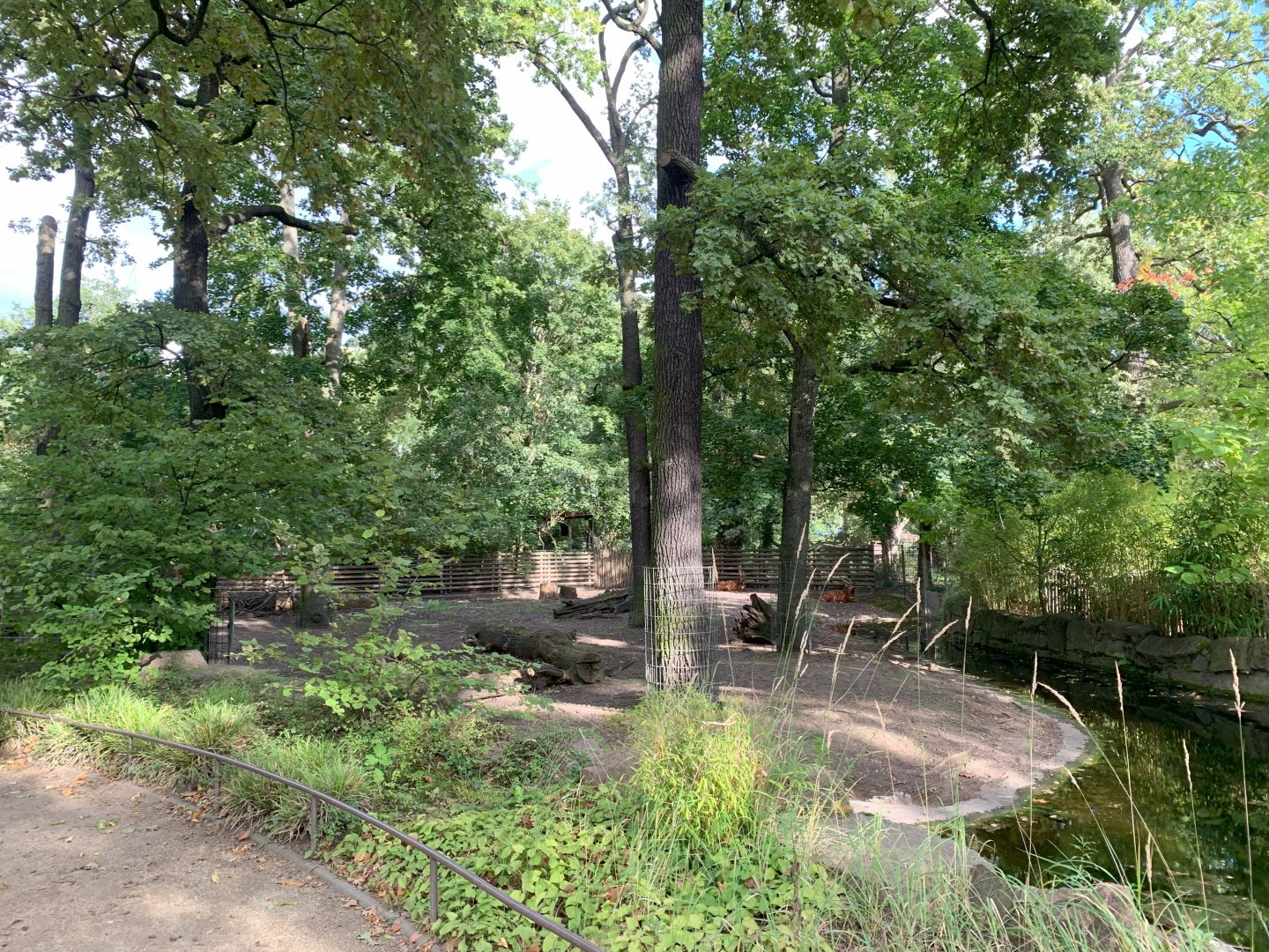 Eastern Bongo and Red Duiker enclosure