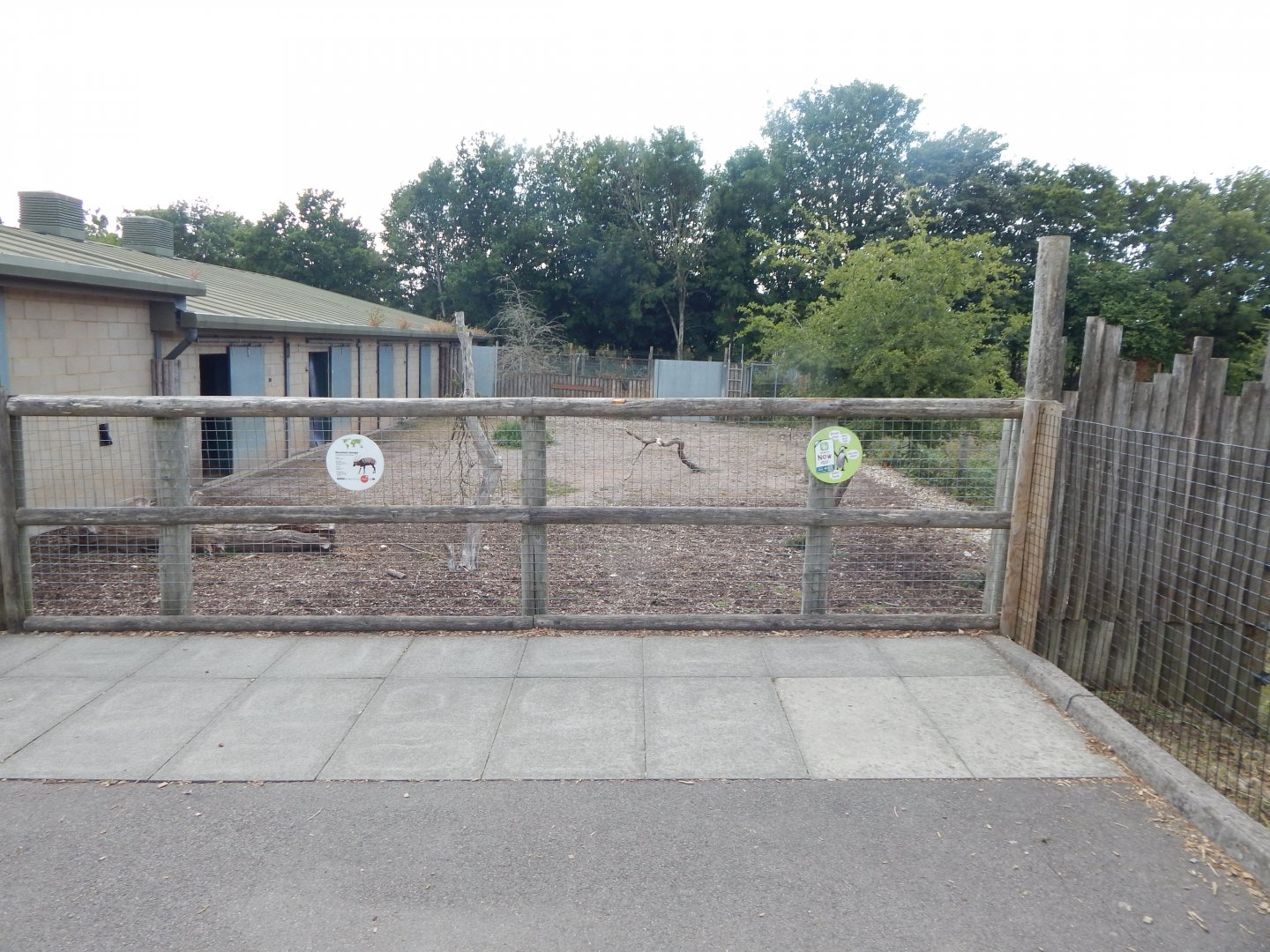 Eastern bongo enclosure 150725