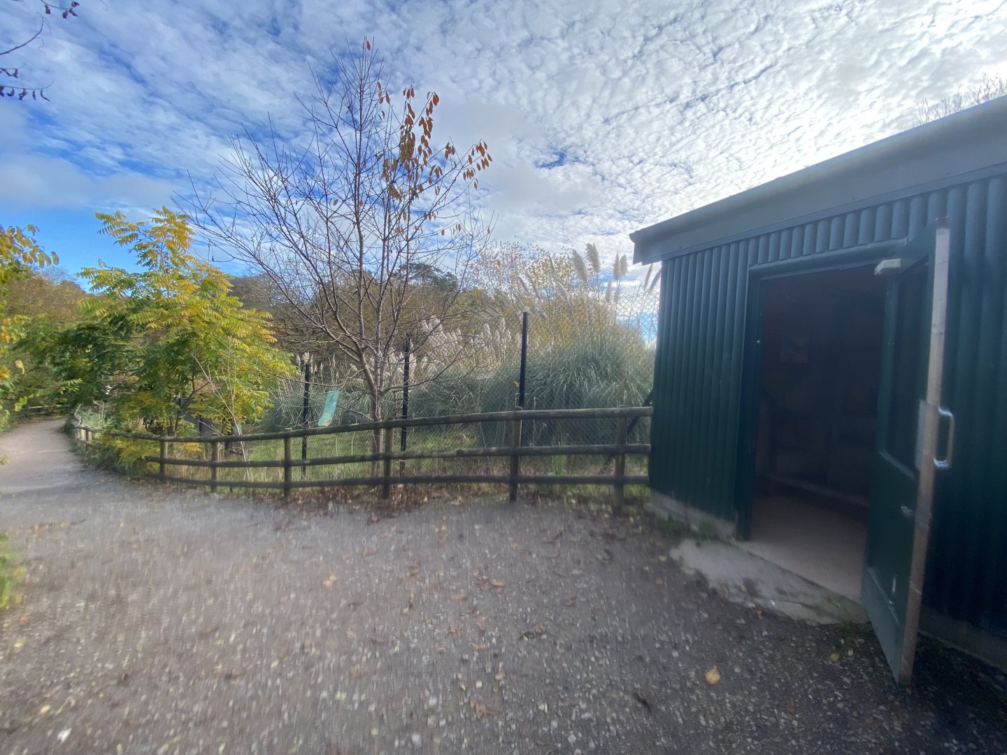 Eastern bongo enclosure 201121