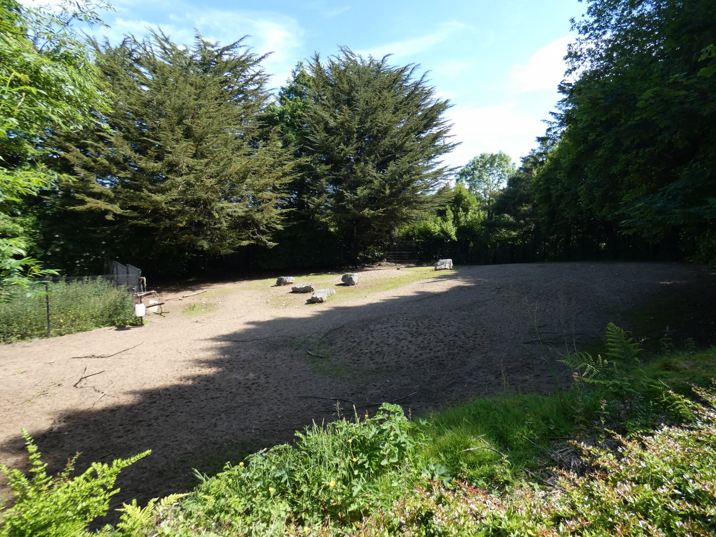 Eastern bongo enclosure