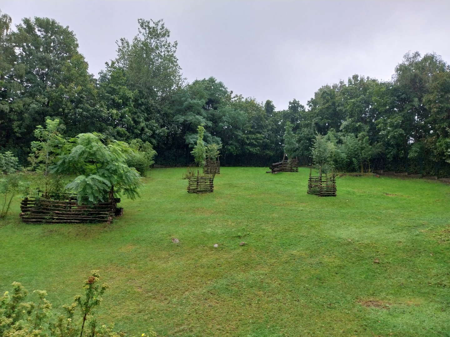 Eastern bongo enclosure
