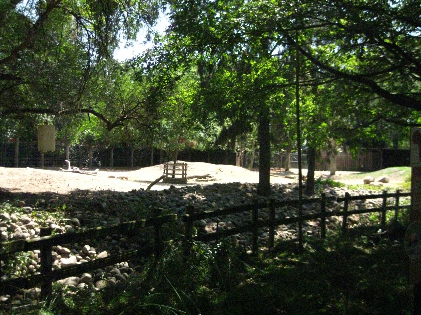 Eastern Bongo Exhibit