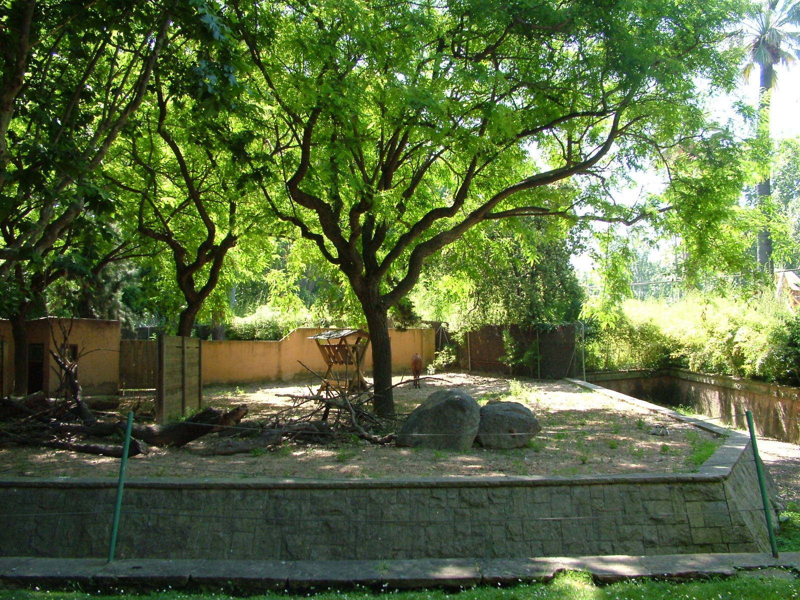 Eastern Bongo Paddock at Barcelona, 30/05/11