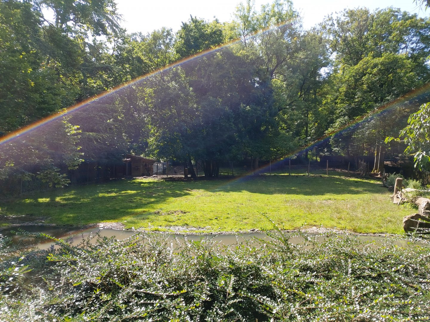 Eastern bongo & Southern ground hornbill enclosure